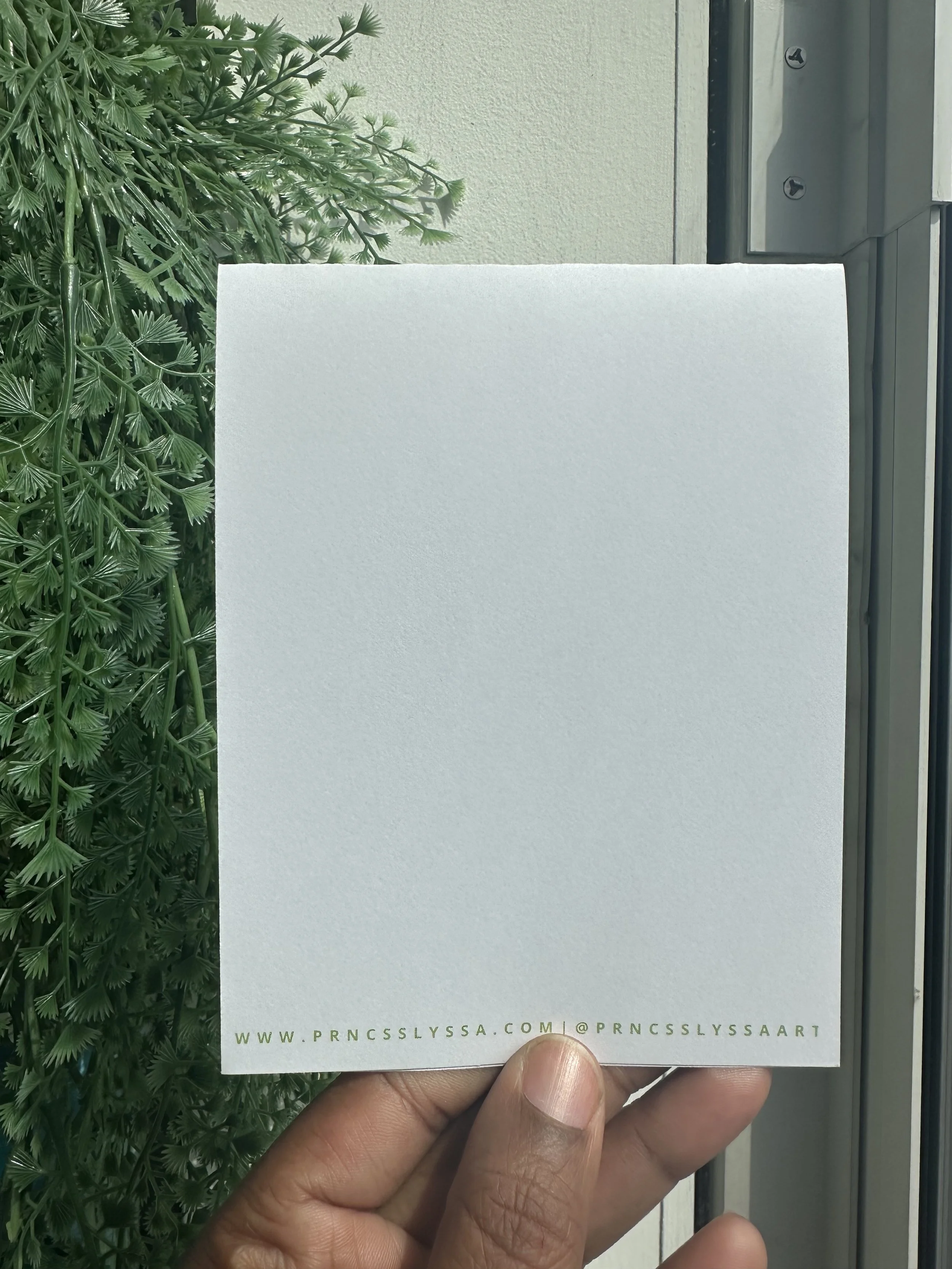 fiddle plant incense b.jpg