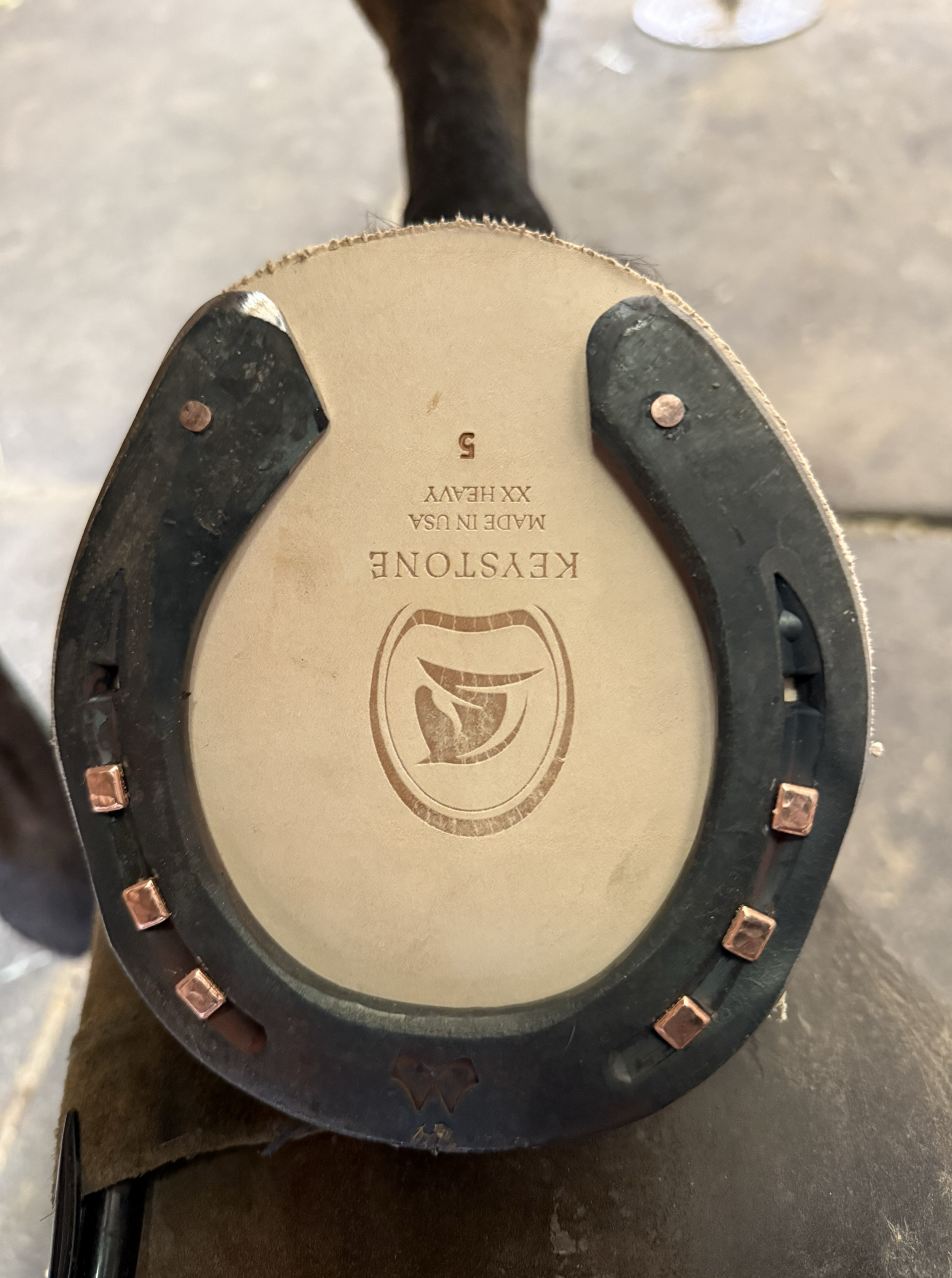 Close-up of the bottom of a leather saddle pad with the brand name KESYSTONE, made in the USA, size 5, and a logo, with a horse's hoof and leg visible in the background.