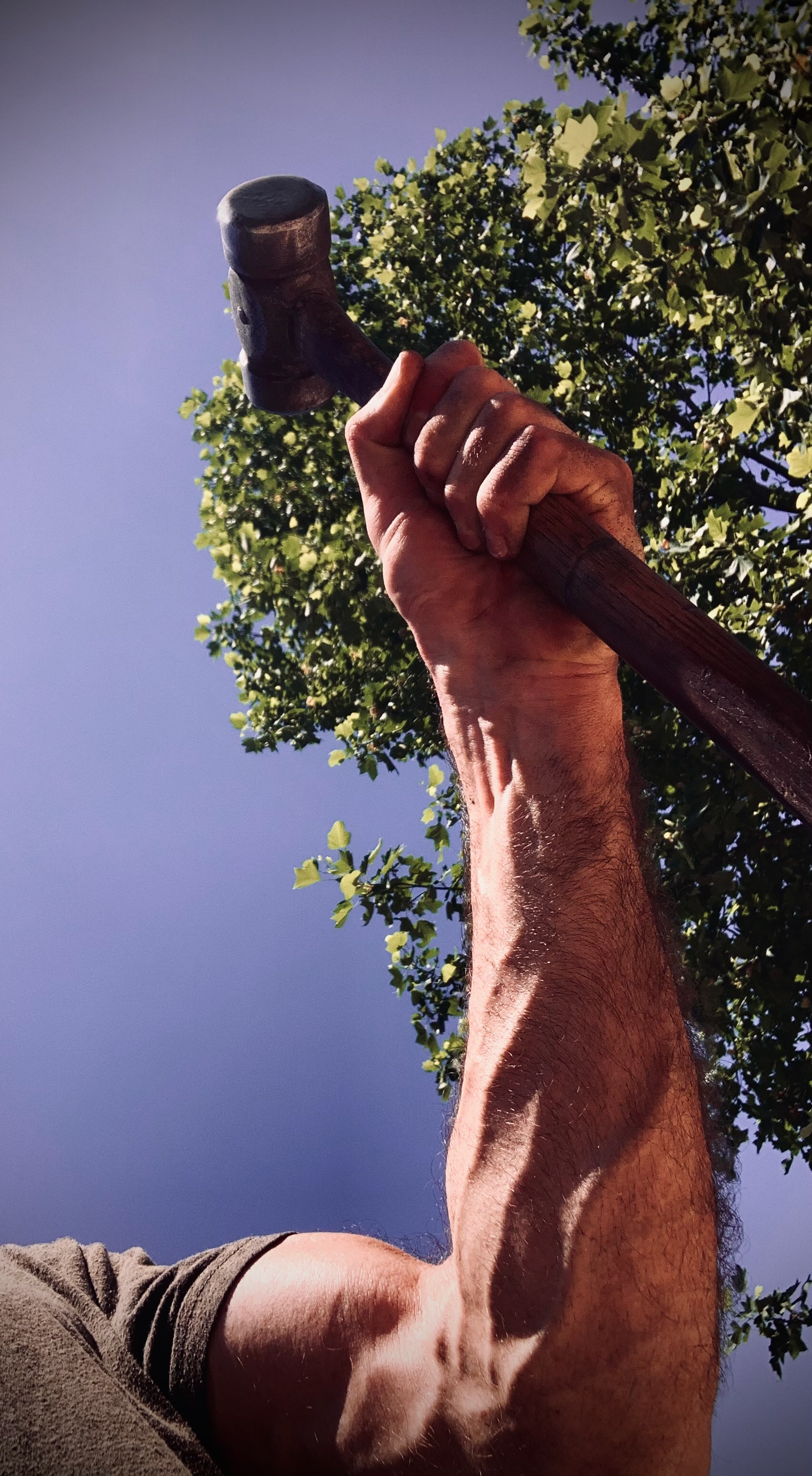 A person holding a hammer in the air outdoors with trees and a blue sky in the background.