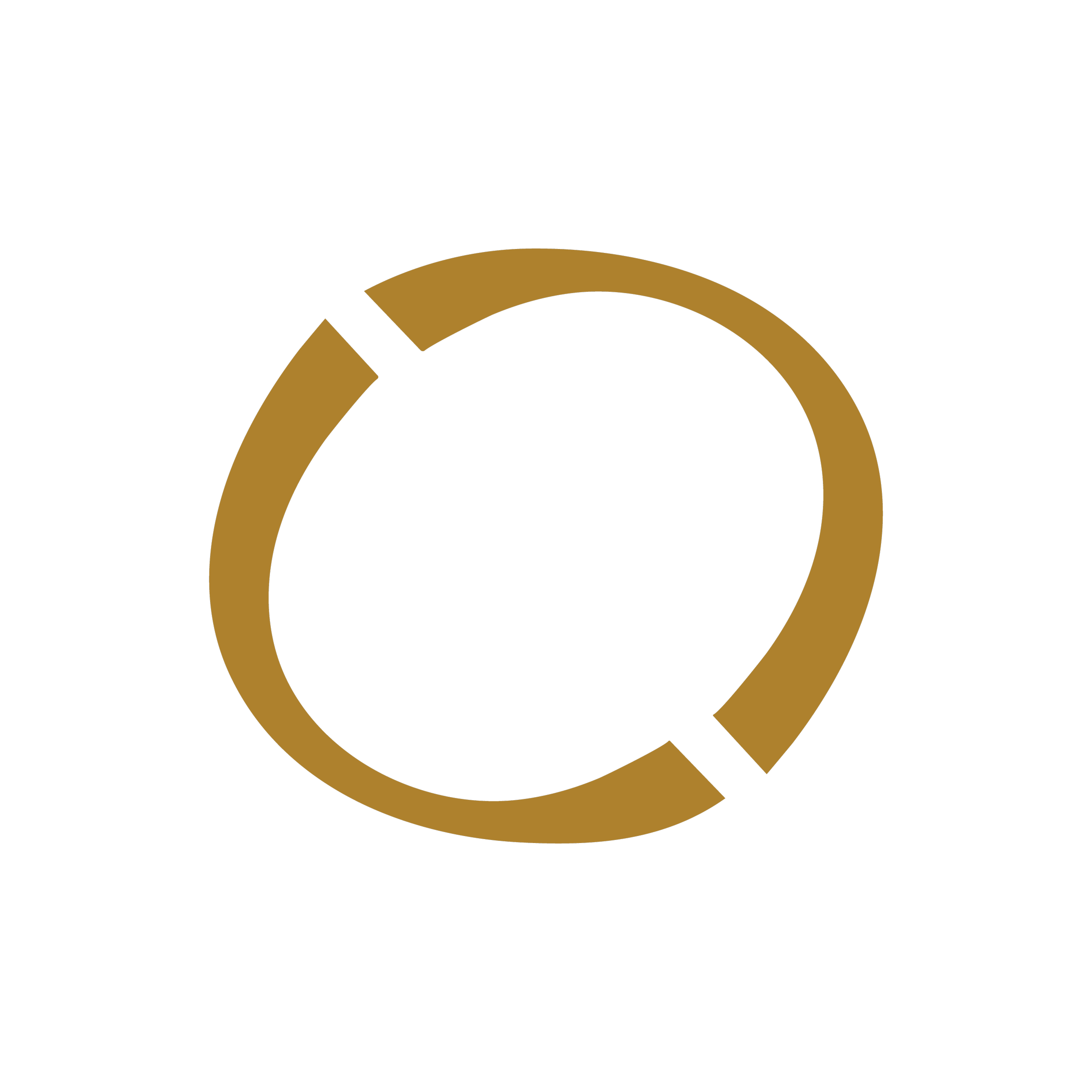 Black background with gold circle lines and a small silhouette of a lion's head above the circles.
