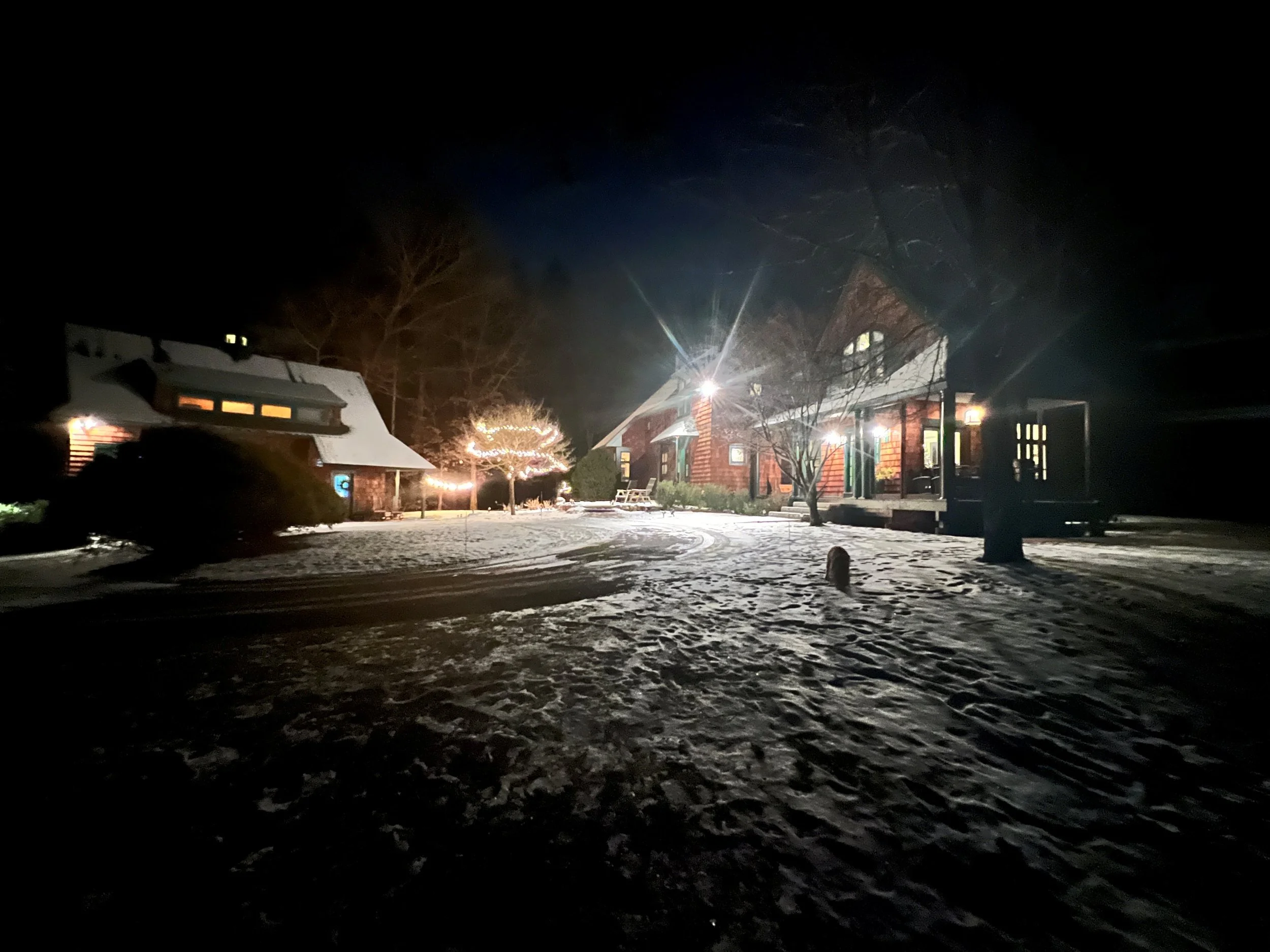 An image of the Float House.