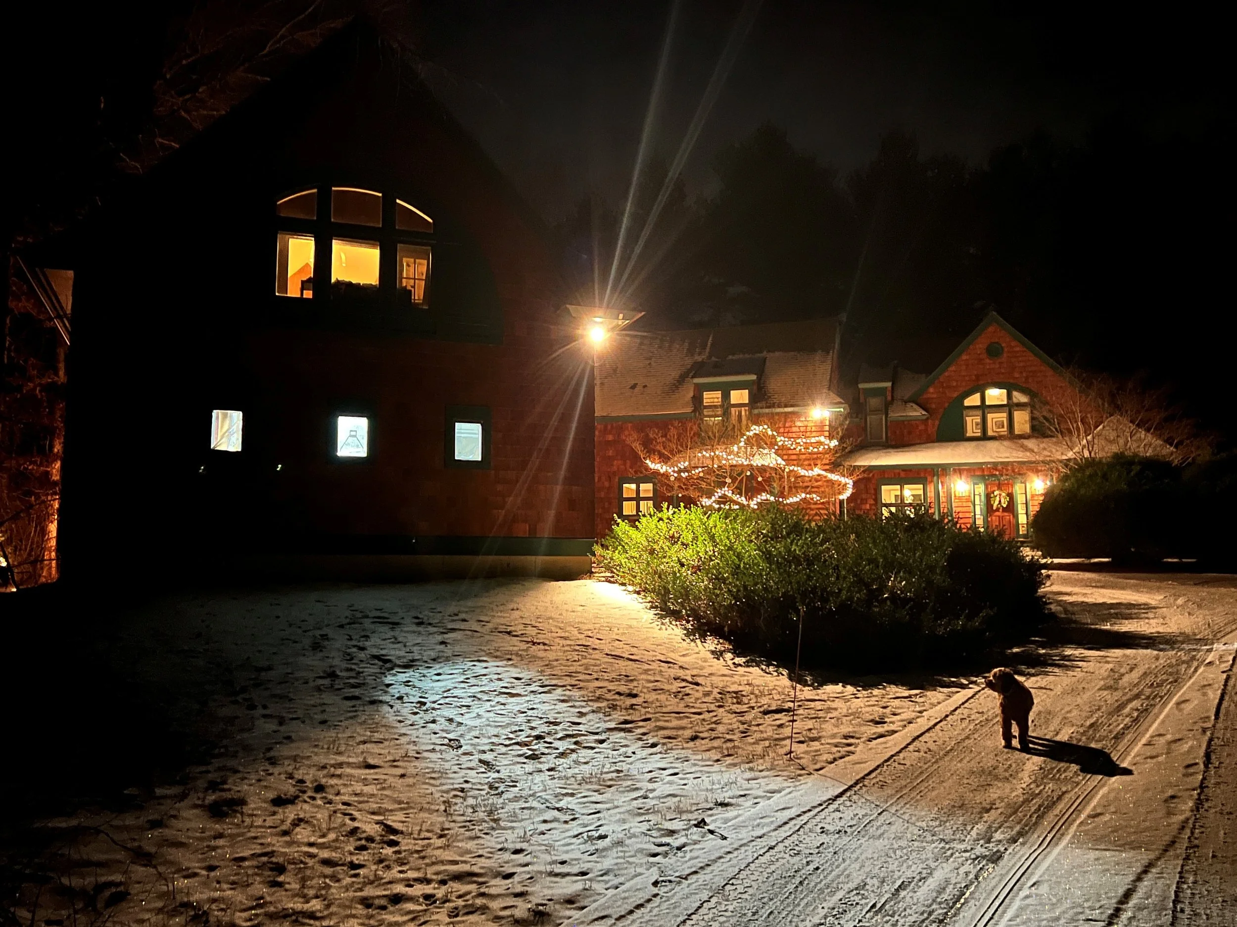 An image of The Float House.