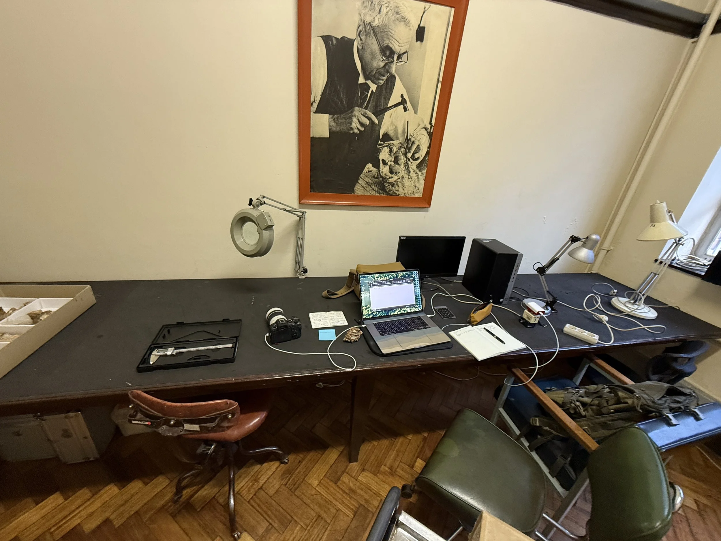 A cluttered desk at the Ditsong Museum of Natural History.