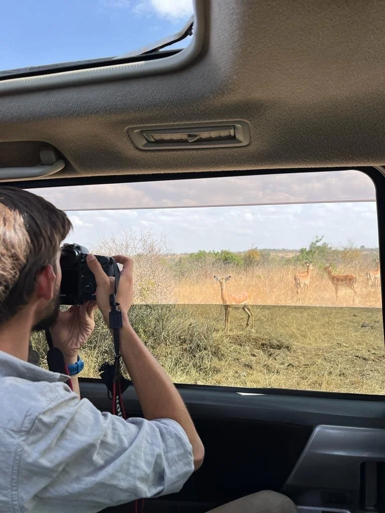 Person inside a vehicle taking a photograph of deer outside through the window on a sunny day.