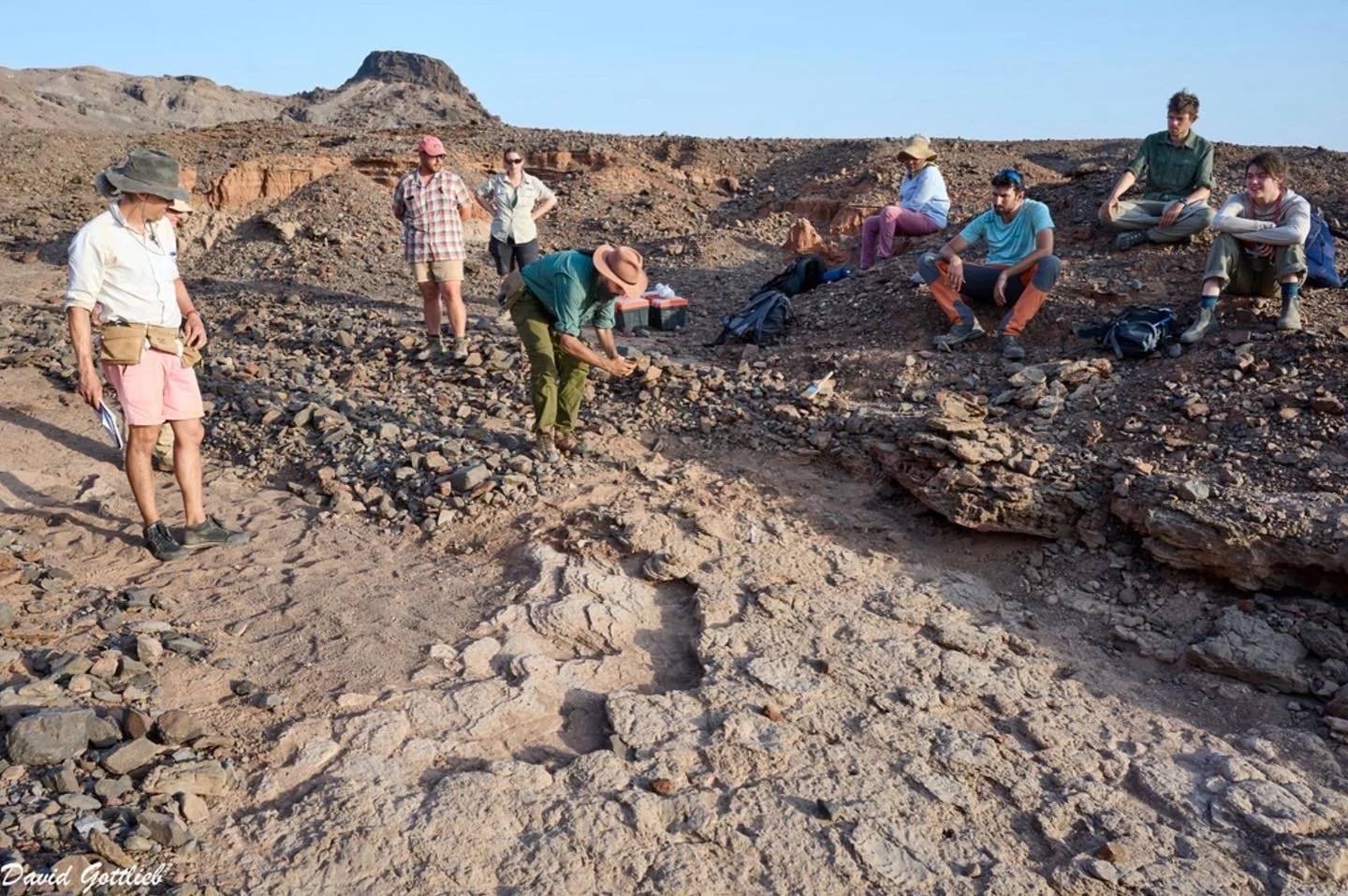 A group of people participating in an archaeological excavation in a desert landscape with rocky terrain and distant mountains.