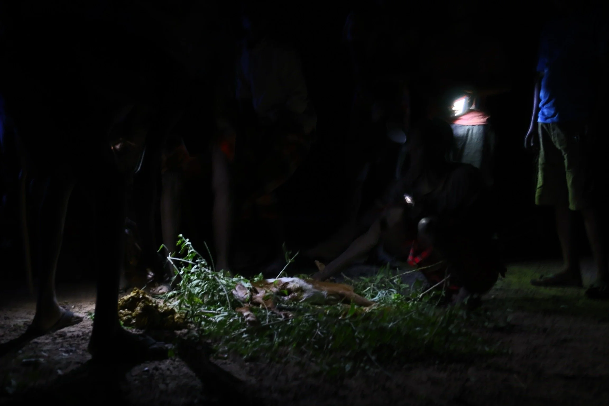 Goat roast on the last day of fieldwork with the Ng'ipalajem Project.