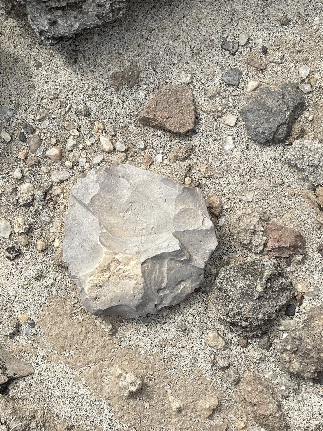 Close-up of sandy ground with various rocks, including a large grayish rock in the center.