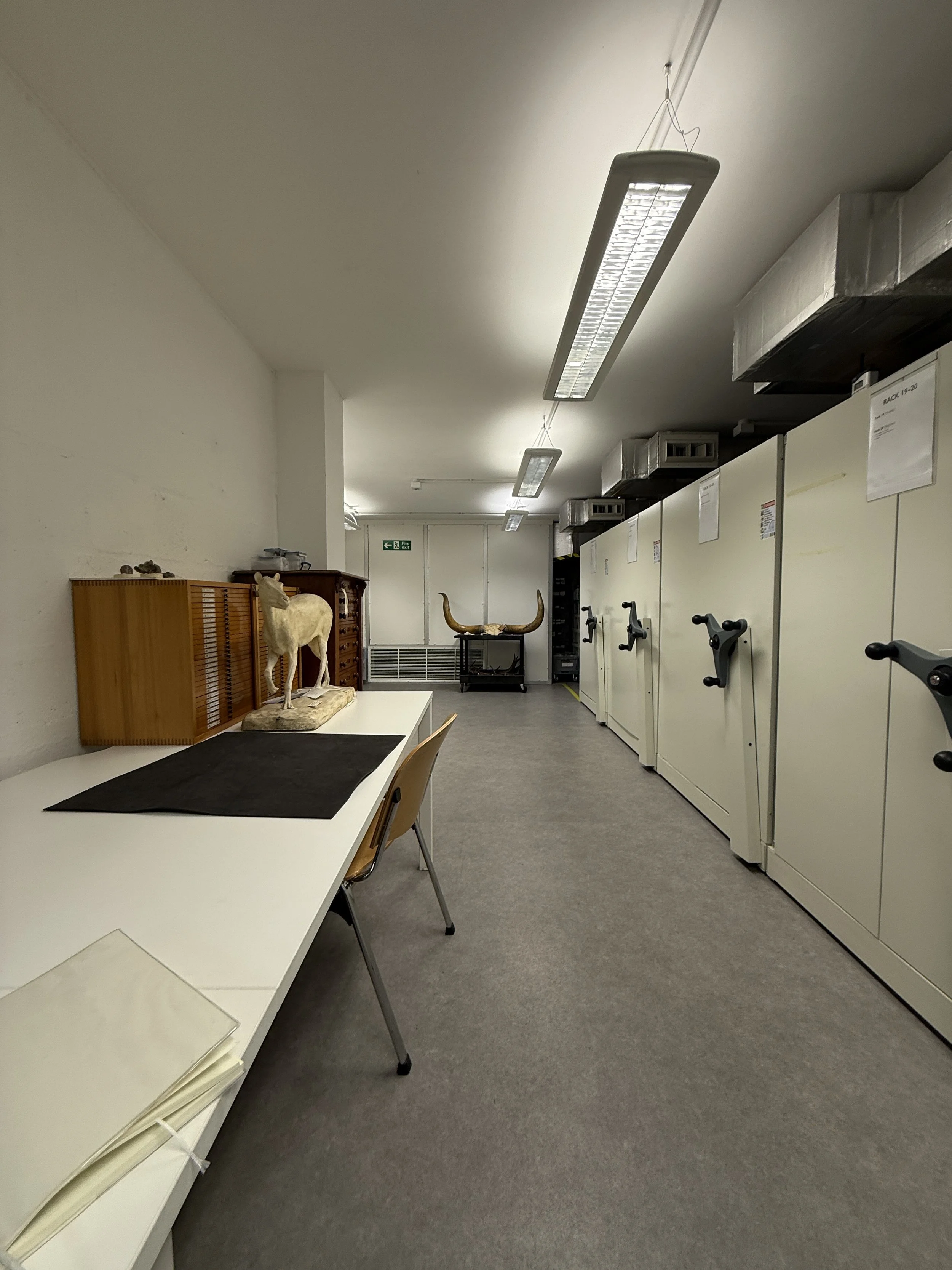 The Cambridge Museum of Zoology collections.