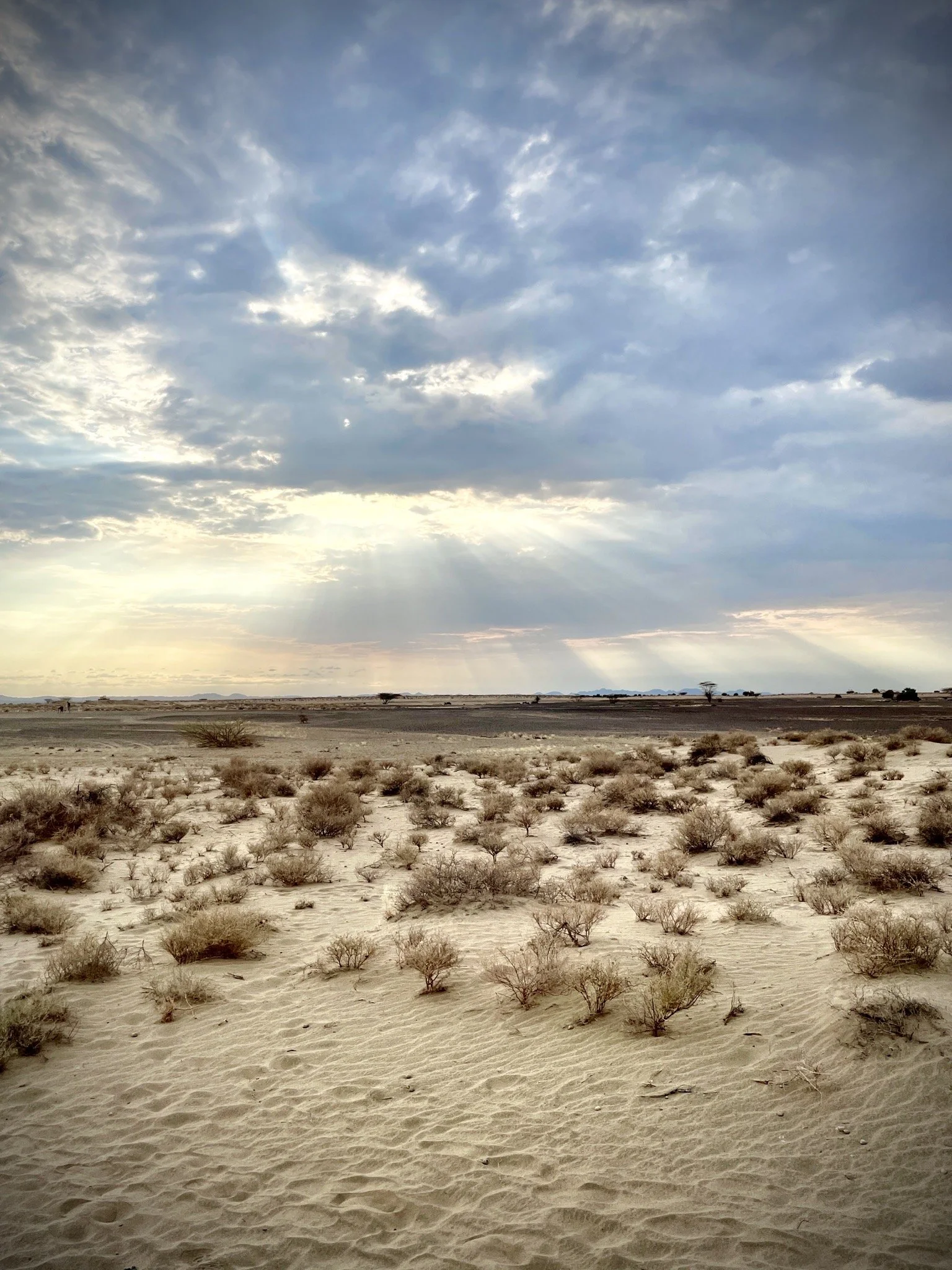 A vast desert landscape with sandy ground and sparse bushes under a cloudy sky with sunlight rays