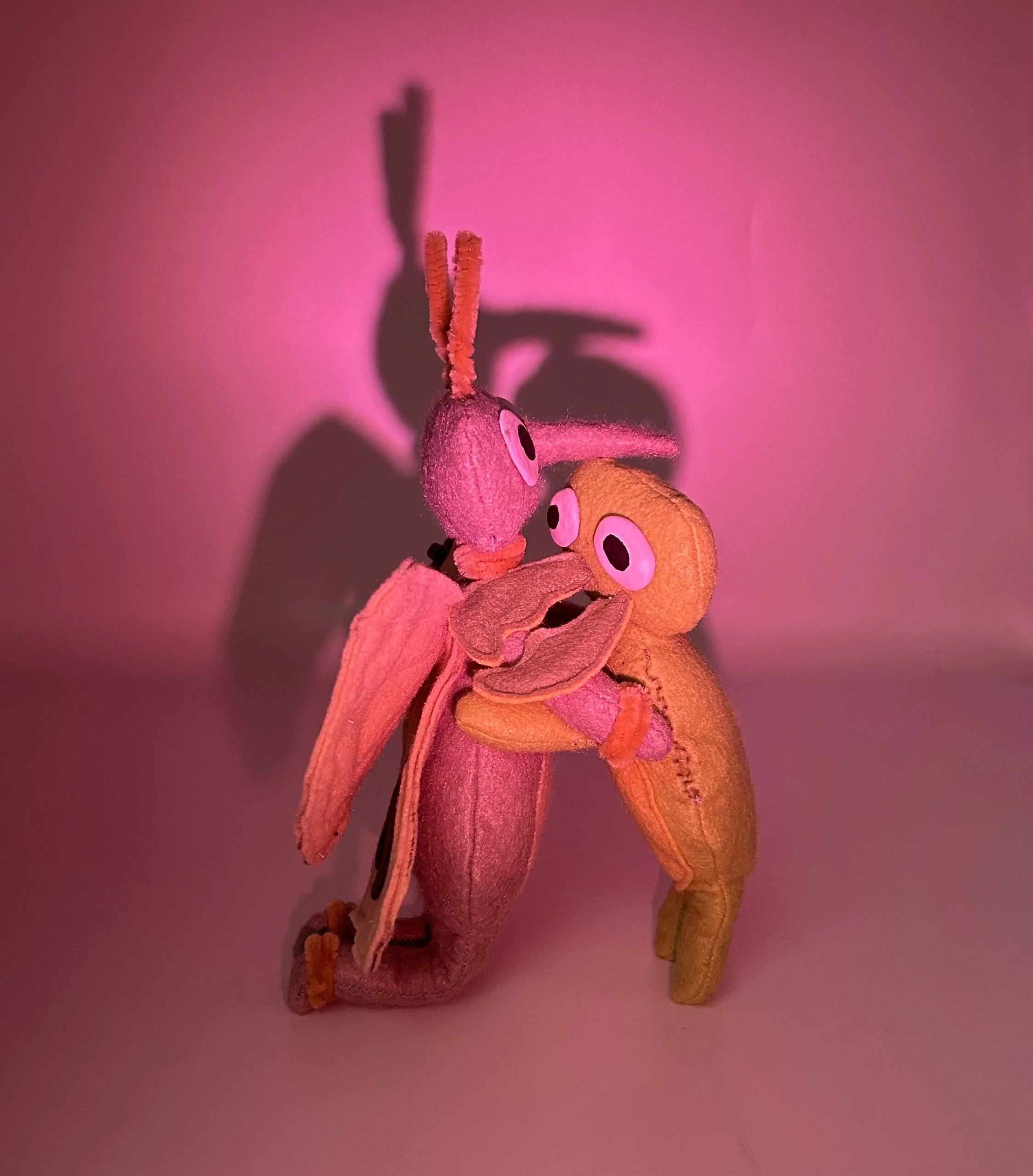 FullSizeRender (1).jpeg