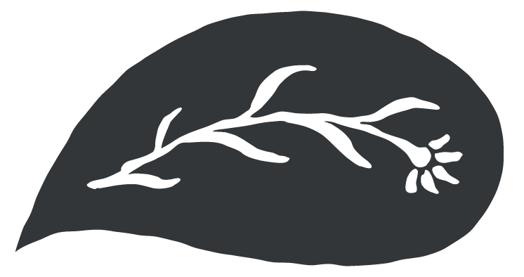 Life Span Speech + Language Services