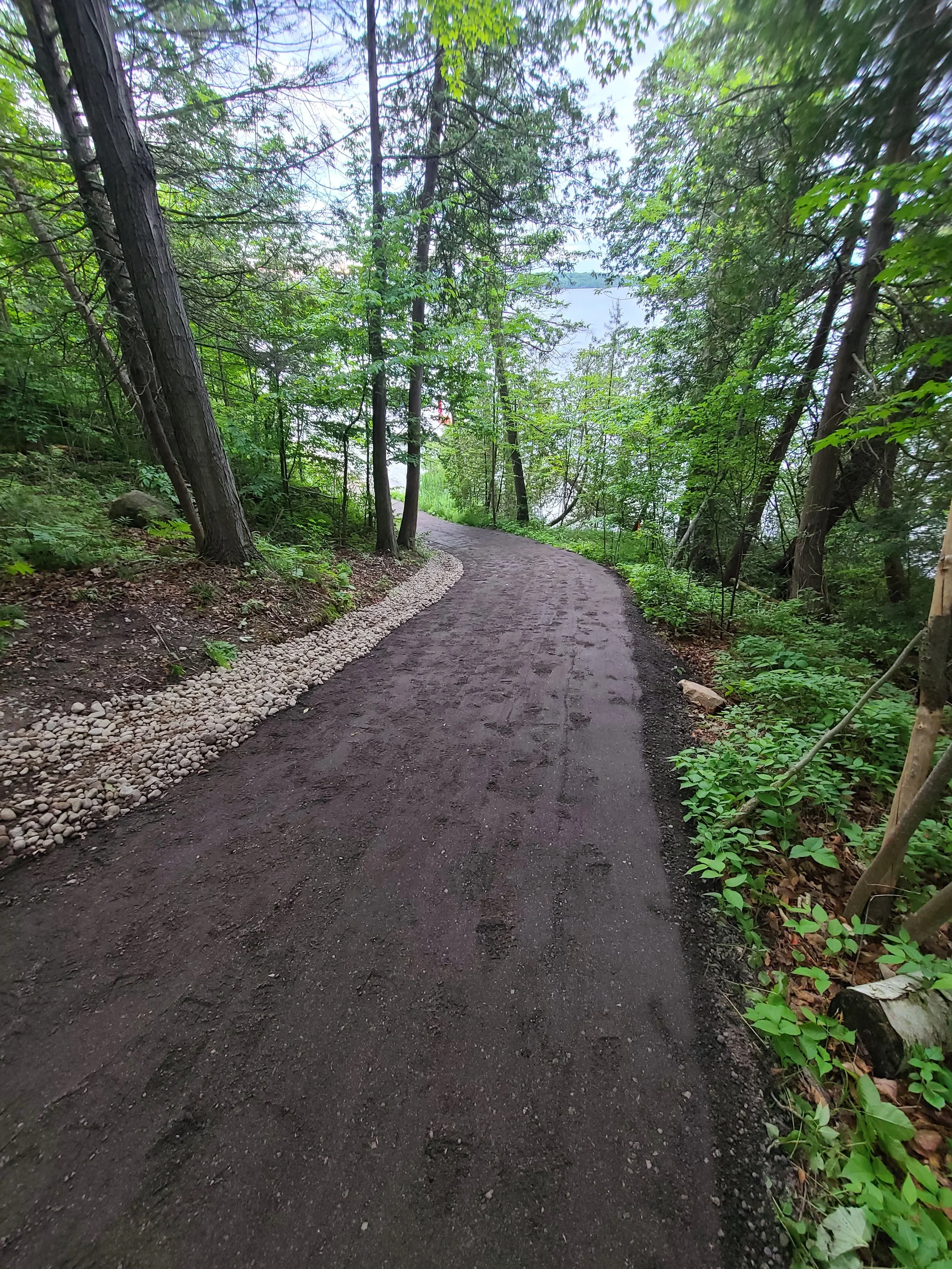 20220609_200431 (1).jpg