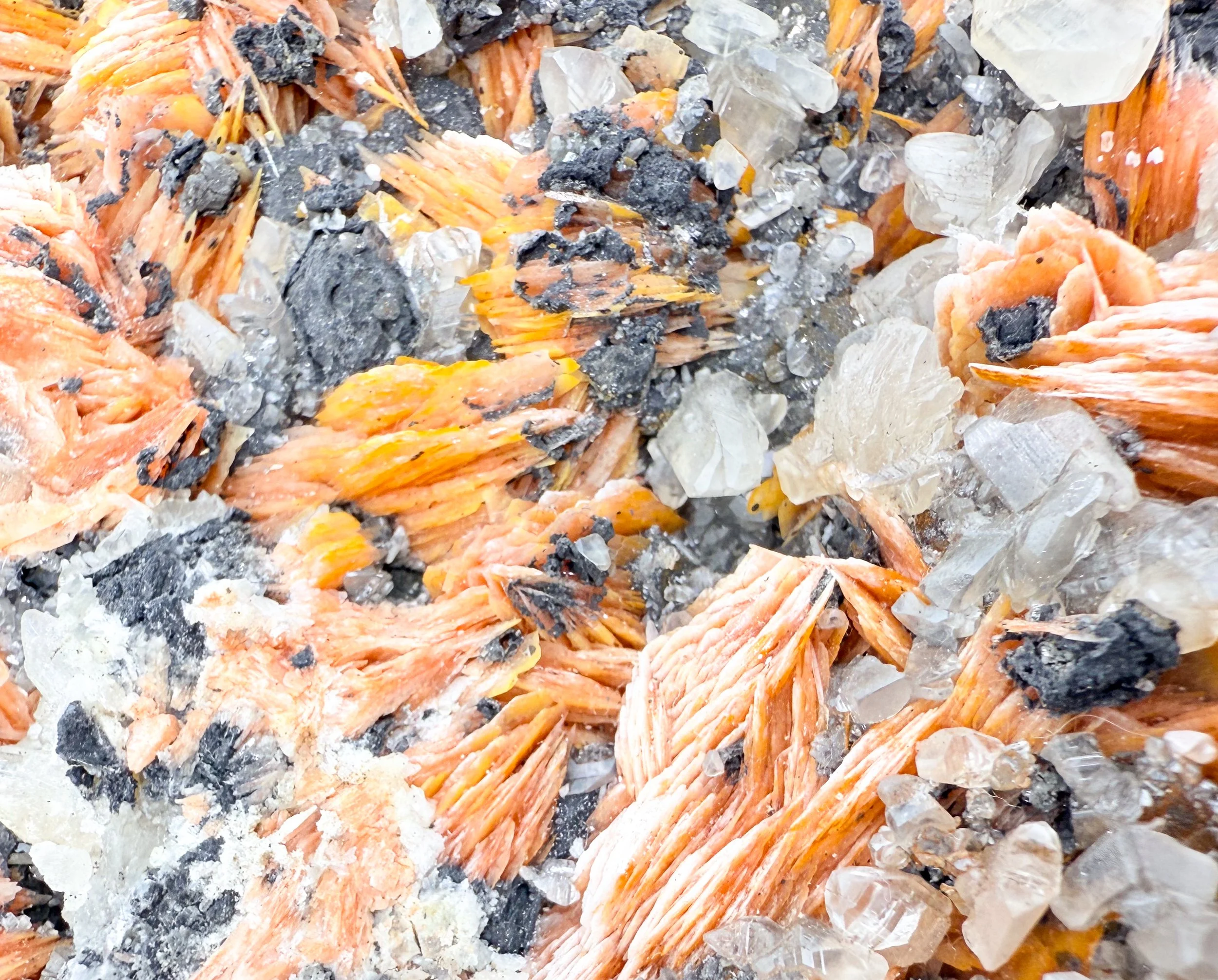 BARITE _ MIN00033F.jpg