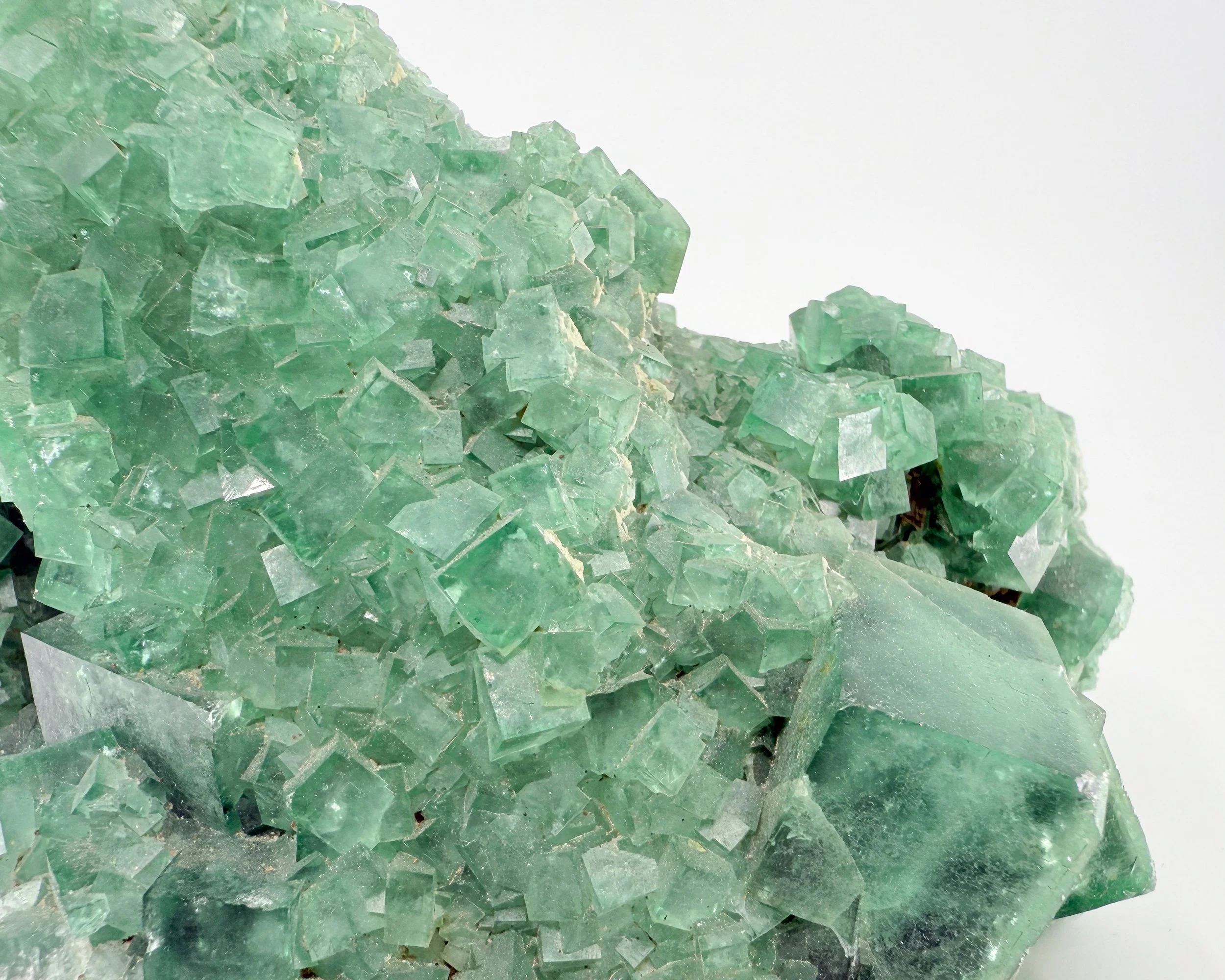 FLUORITE _ MIN00011E.jpg