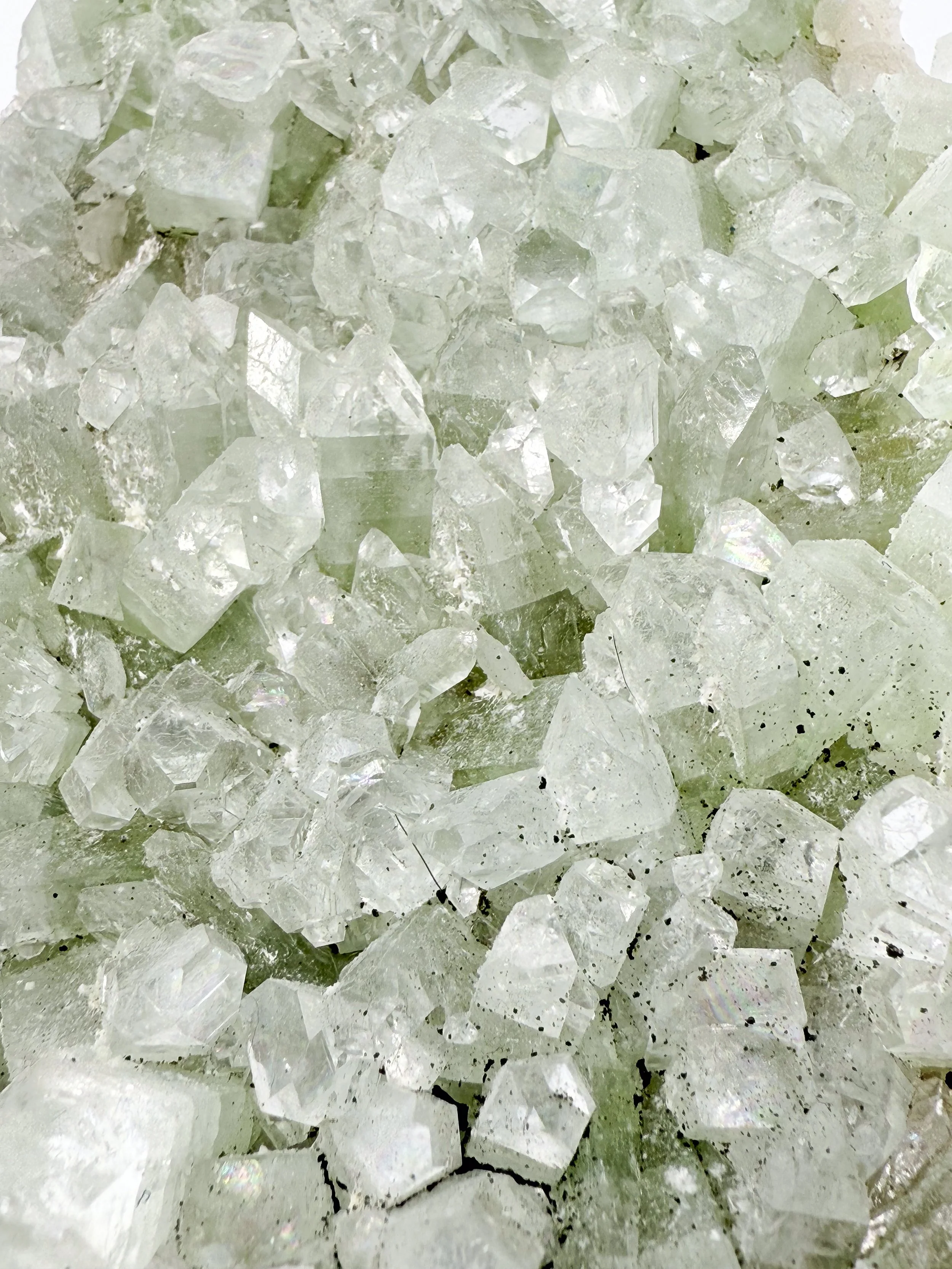 CALCITE _ MIN00104E.jpg