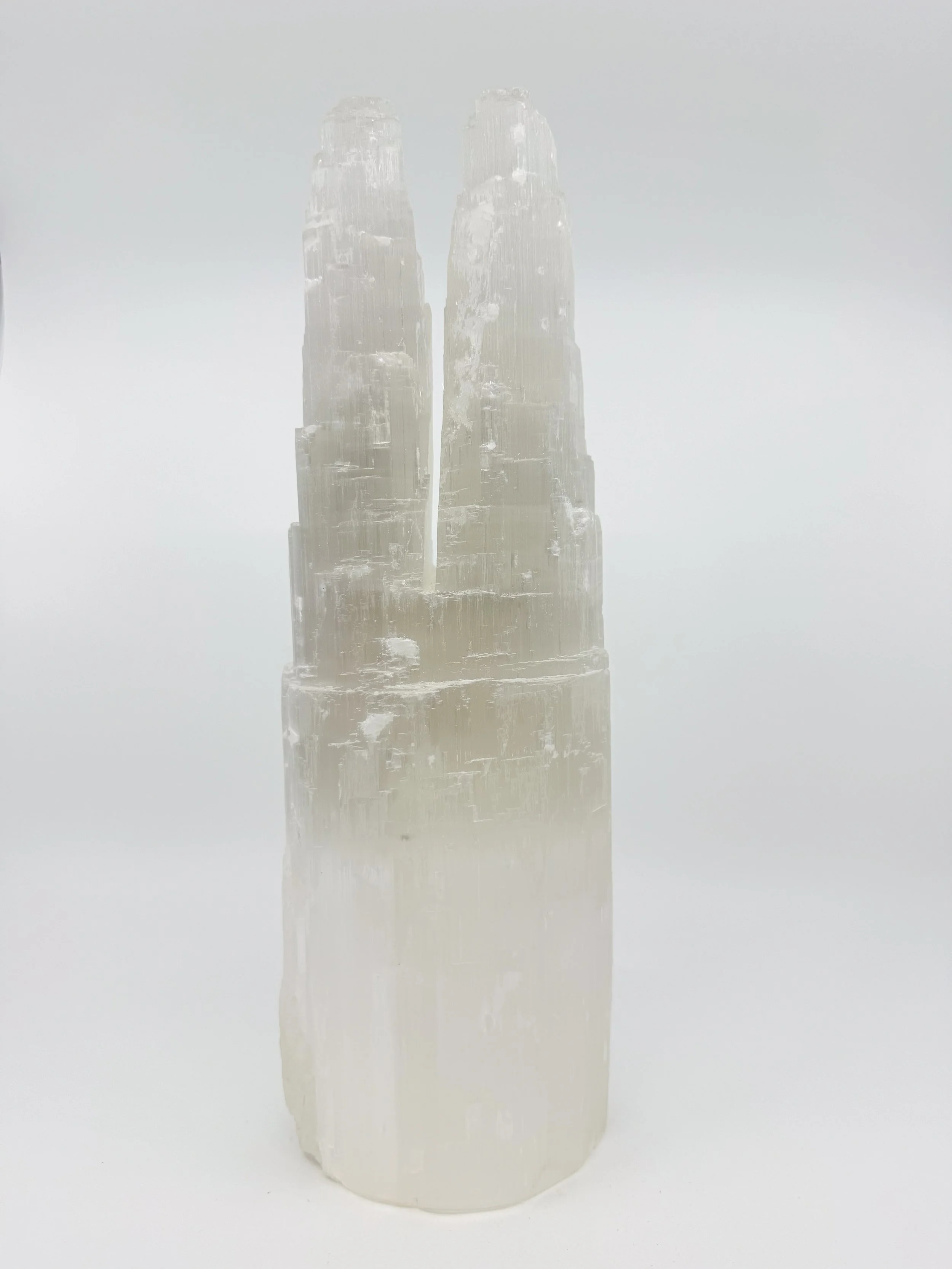 DOUBLE SELENITE _ MIN00076A.jpg