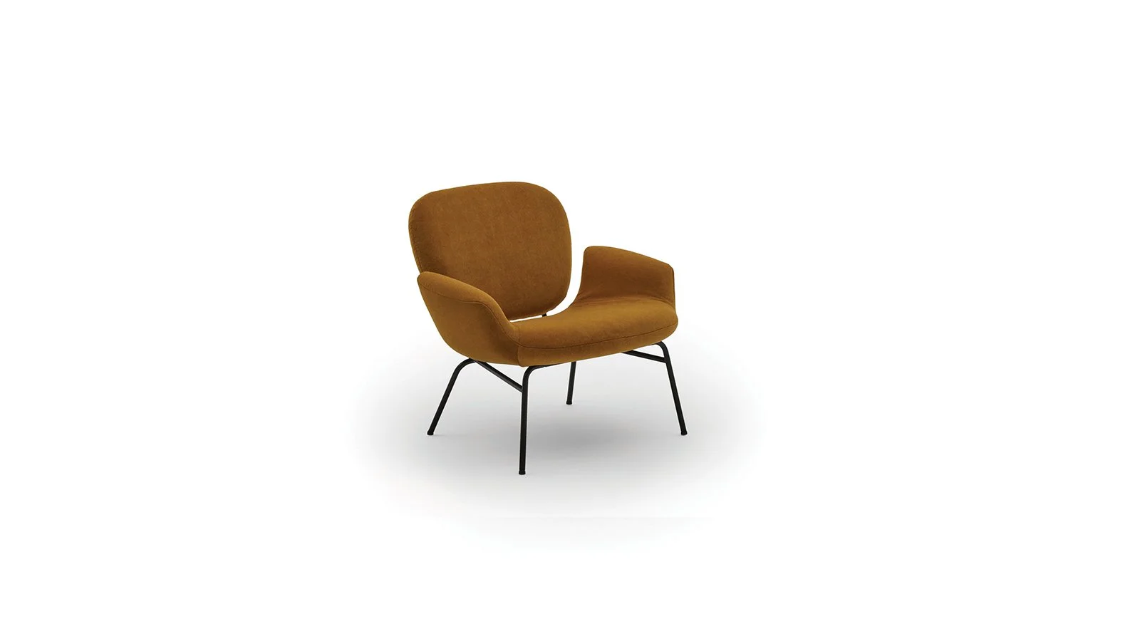 Momo Armchair