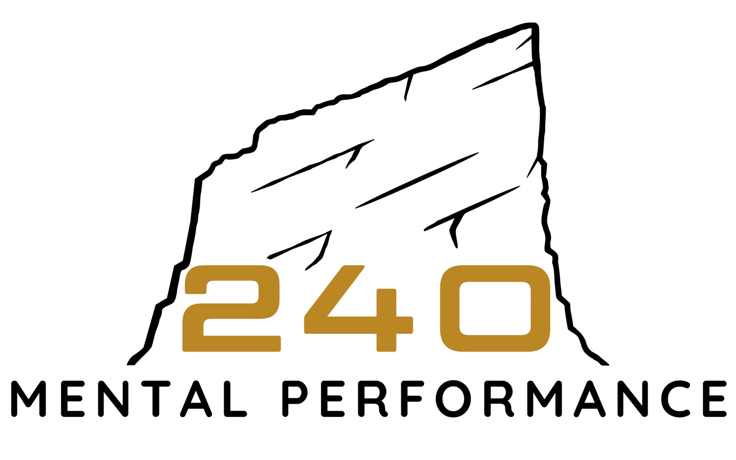 240 Mental Performance