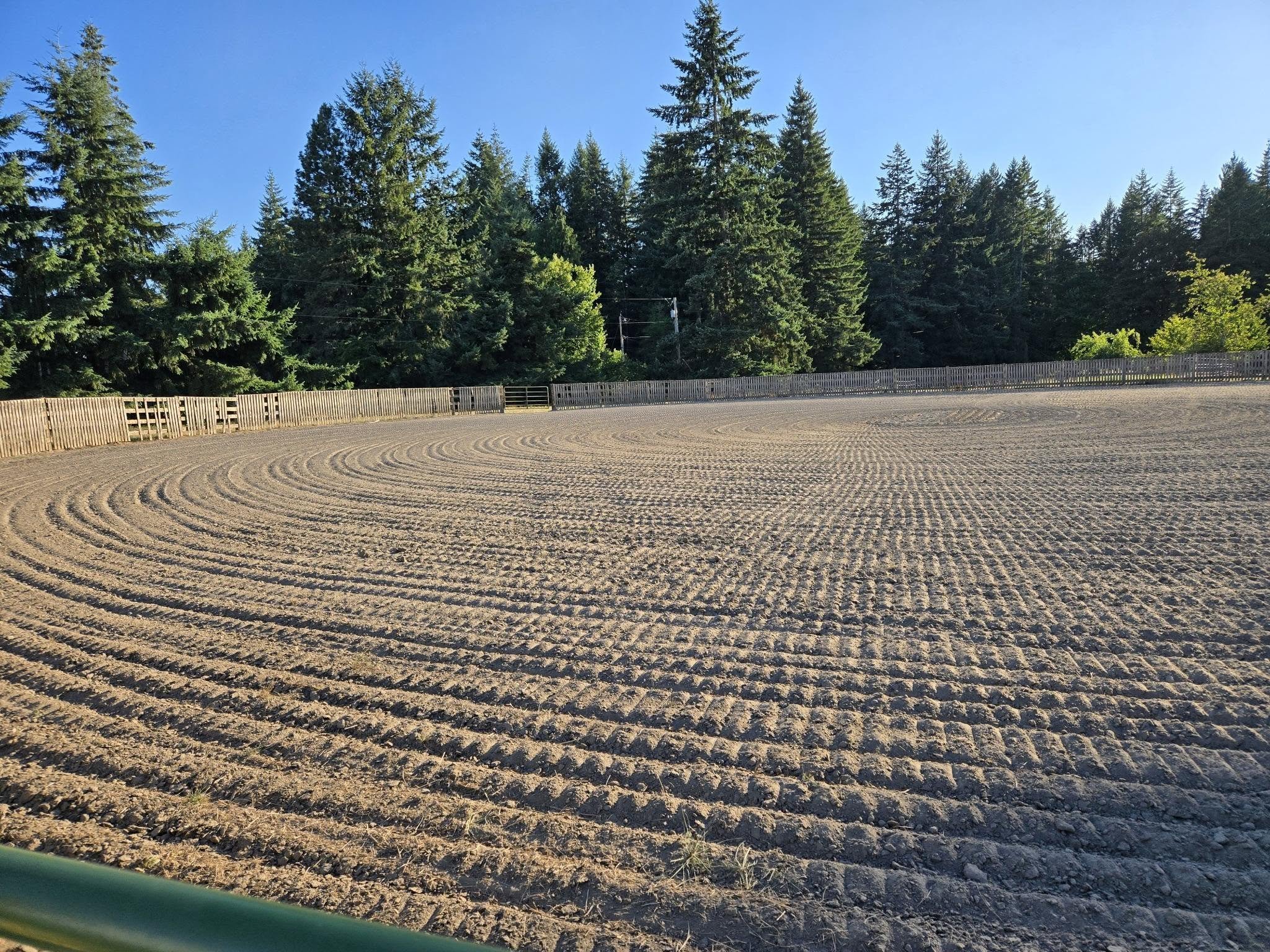 An outdoor paved area with concentric circular patterns, surrounded by a wooden fence and a forest of tall green trees under a clear blue sky.