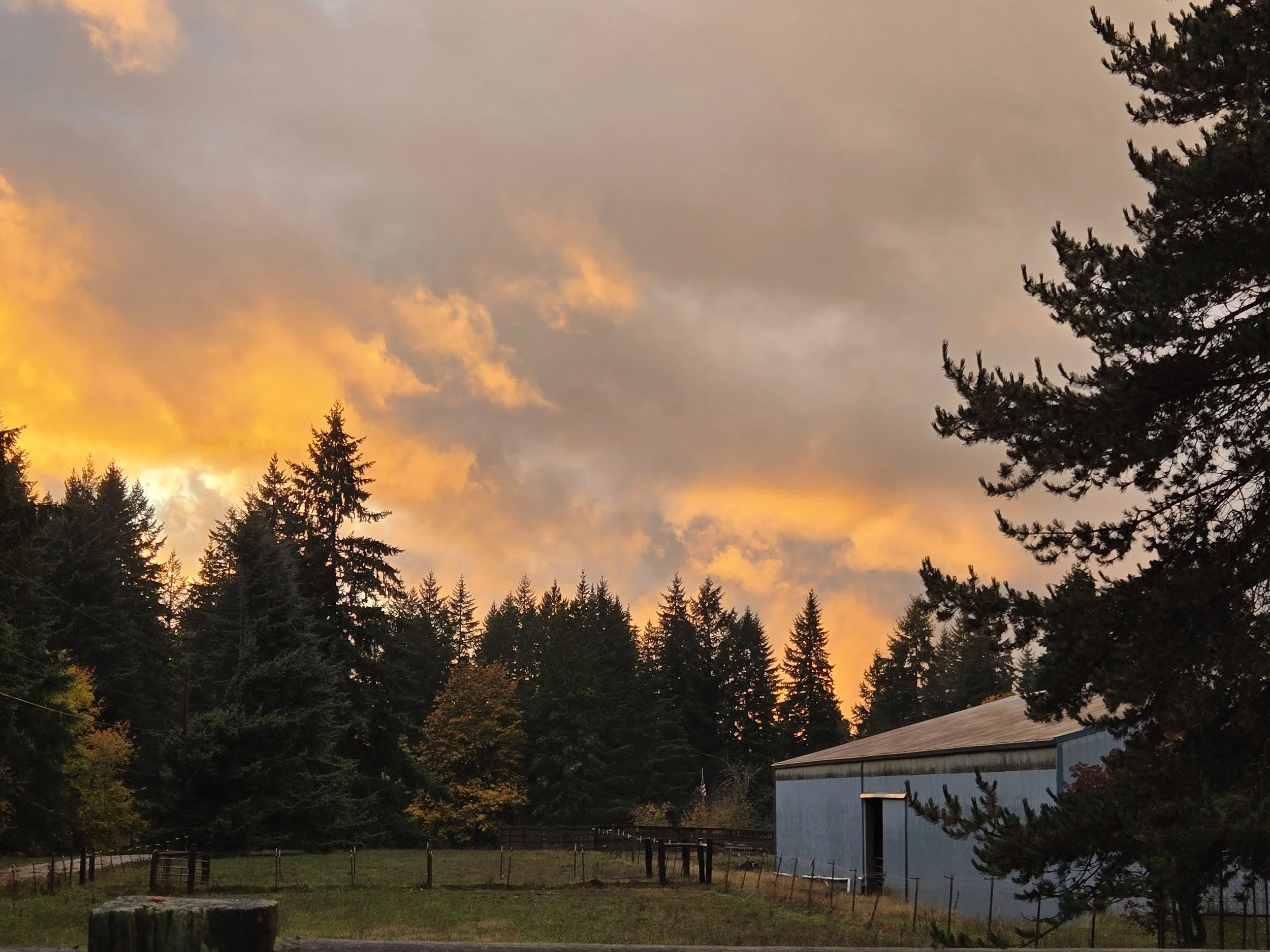 Sunset sky with dark clouds, silhouetted trees, and a blue barn on the right side.