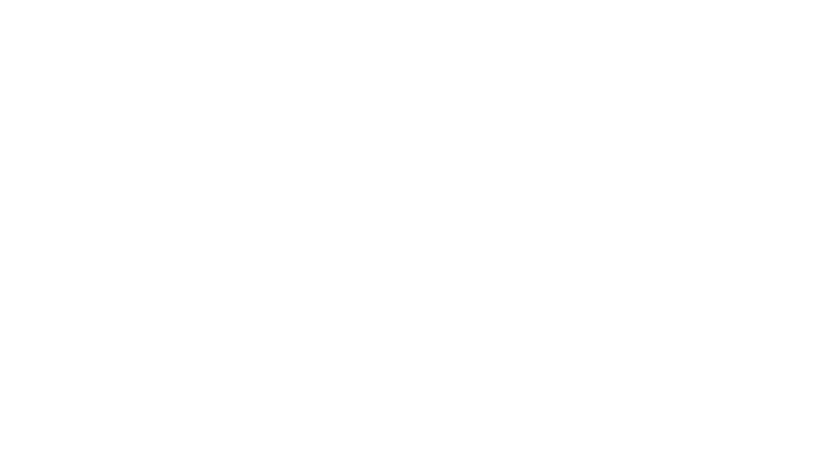 True Companion Studio