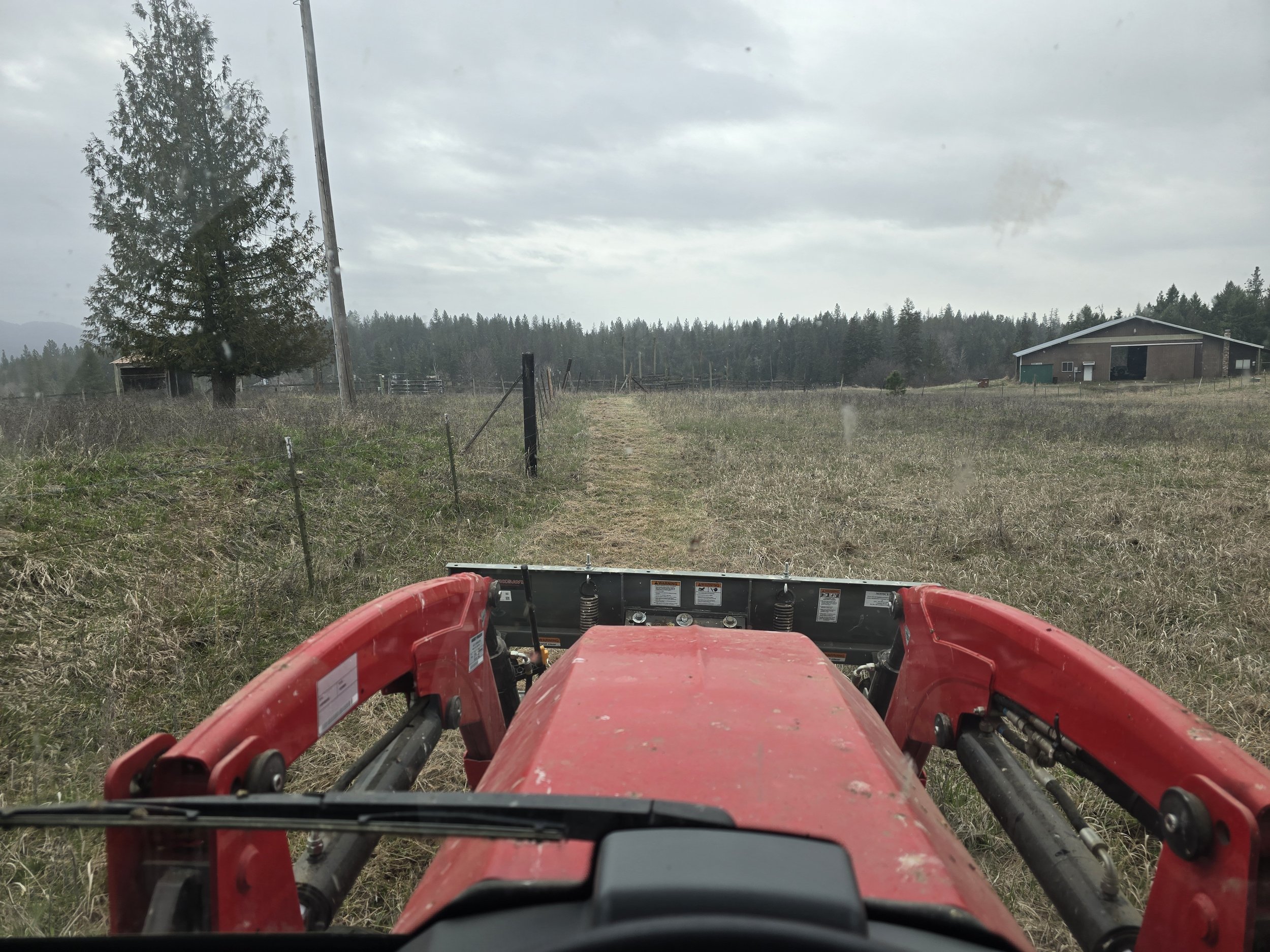 Birds eye view and chirping