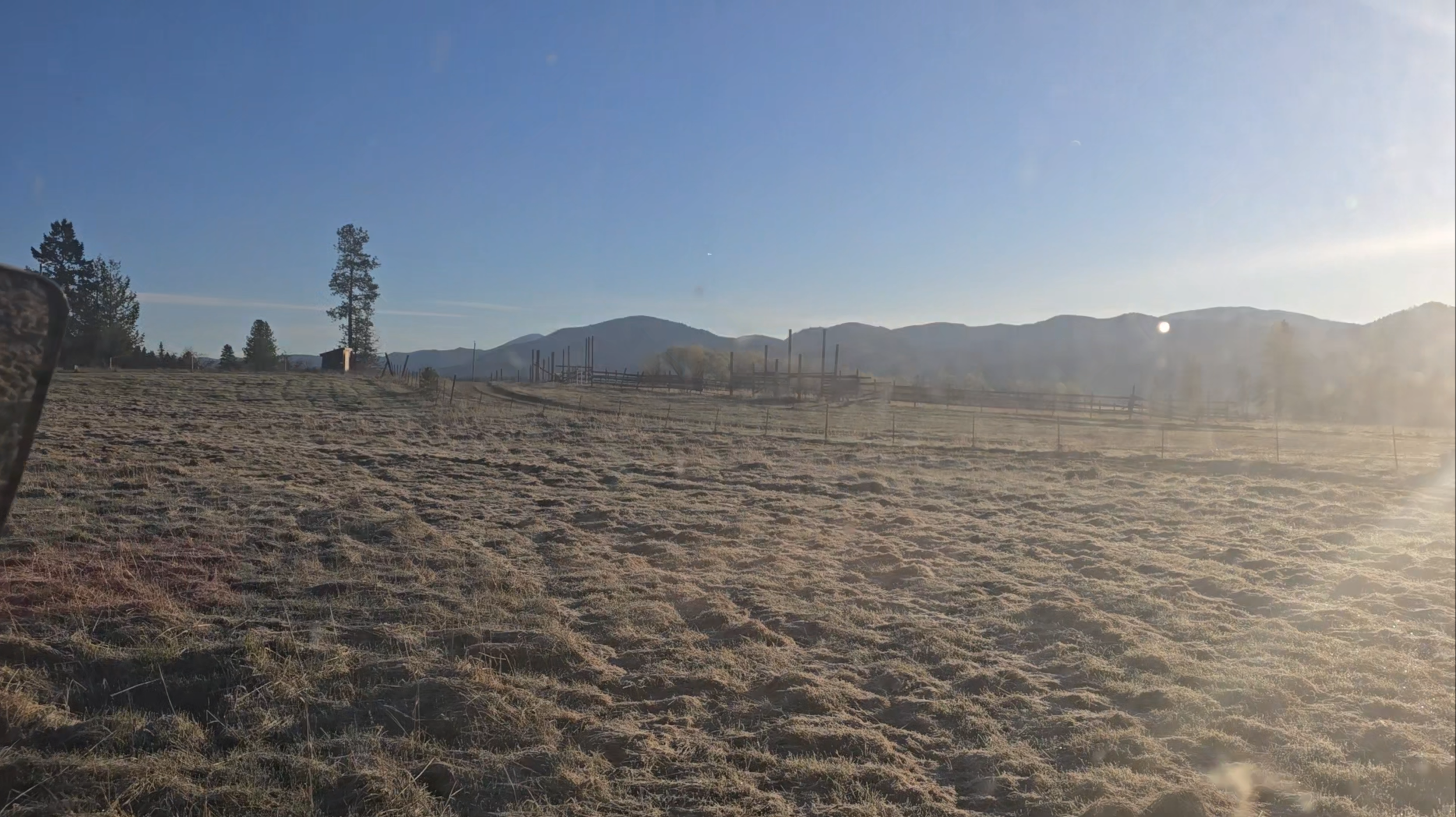 Greeting the Grim Reaper