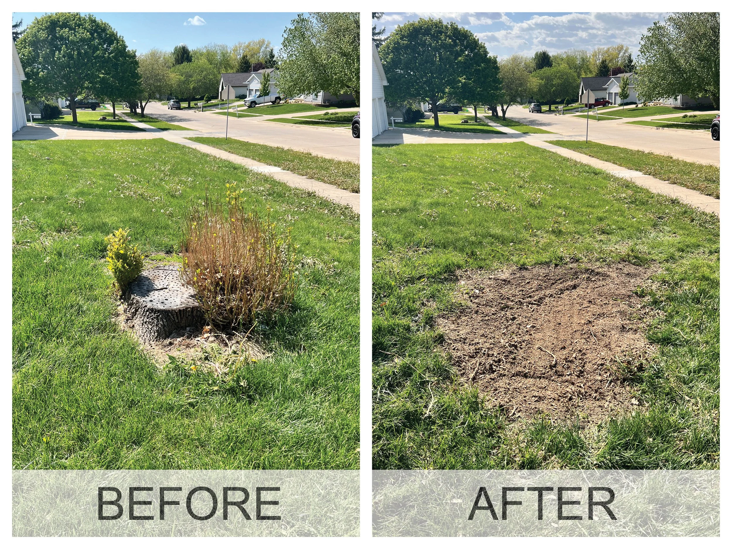 Before and after photos of tree stump at home in La Porte City, IA before stump removal and after stump grinding