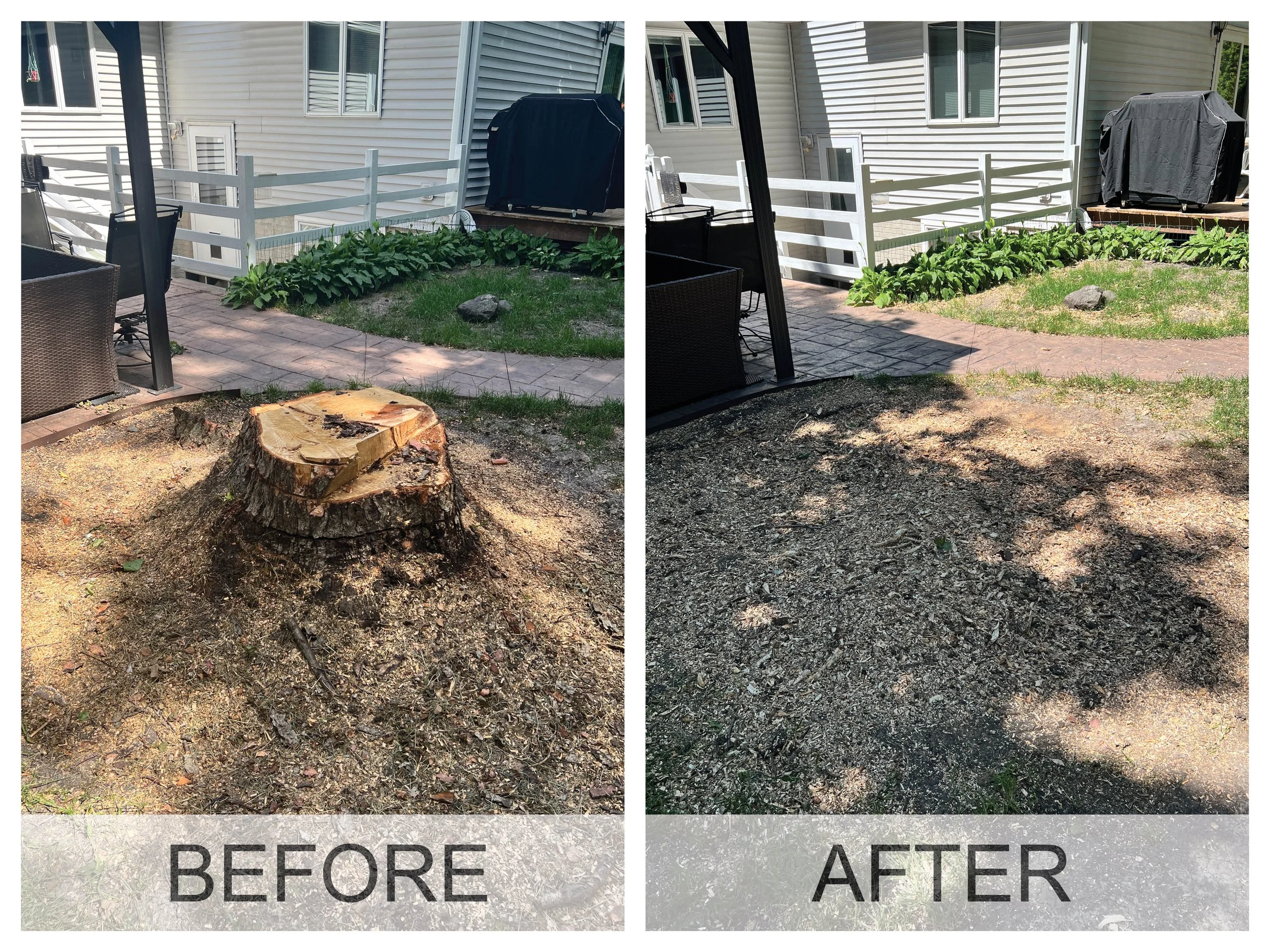 Before and after photos showing what a yard in Cedar Falls, IA looks like before stump removal and after stump grinding