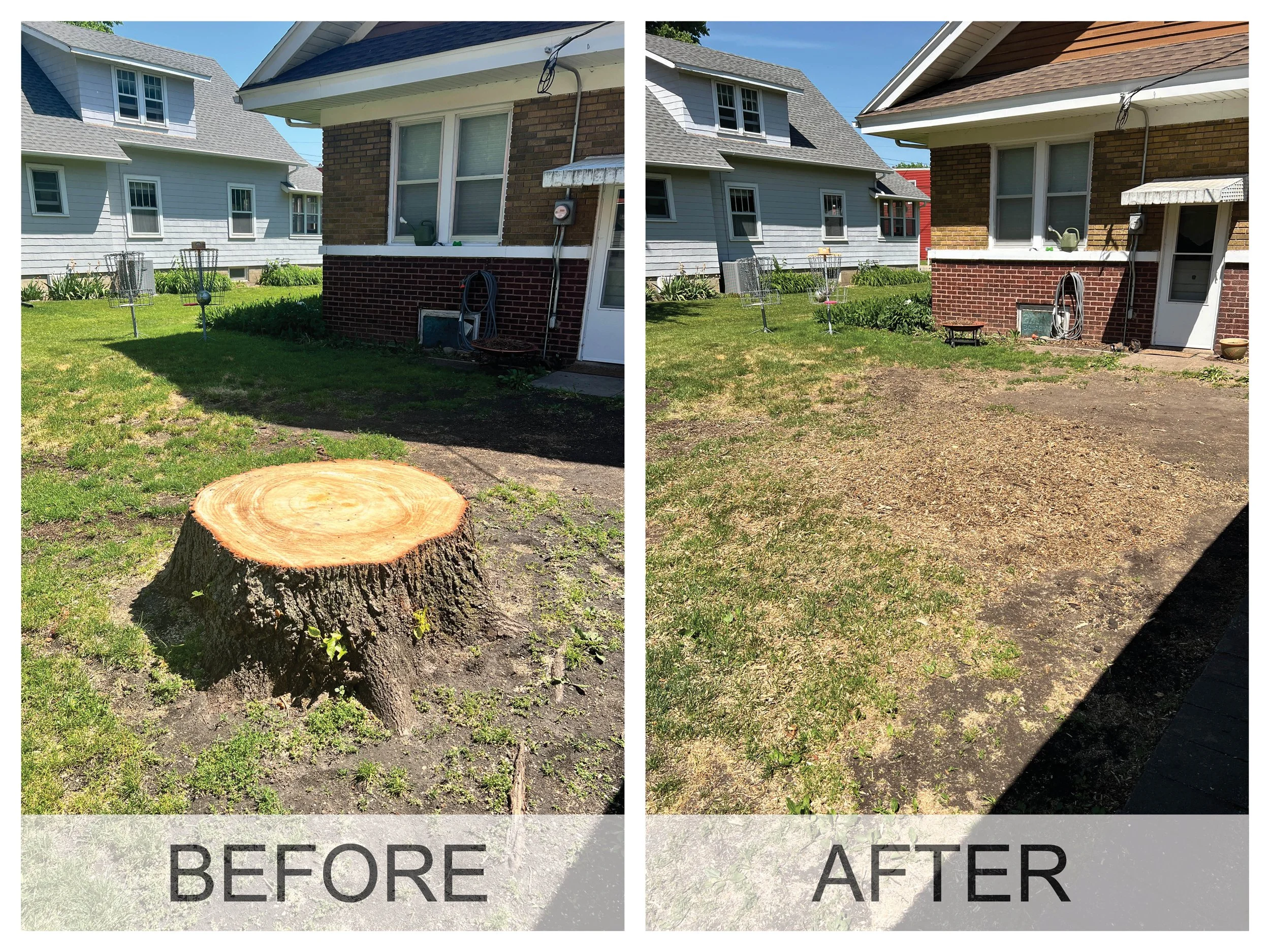 Before and after photo of what a yard in Waterloo, IA looks like before stump grinding and after stump removal