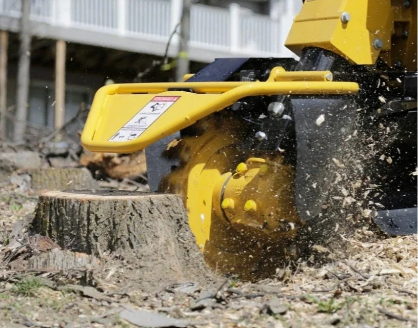 Stump grinder removing tree stump
