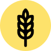 Icon of a wheat stalk on a yellow circular background