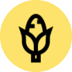 A yellow circle with a black outline of a wheat stalk