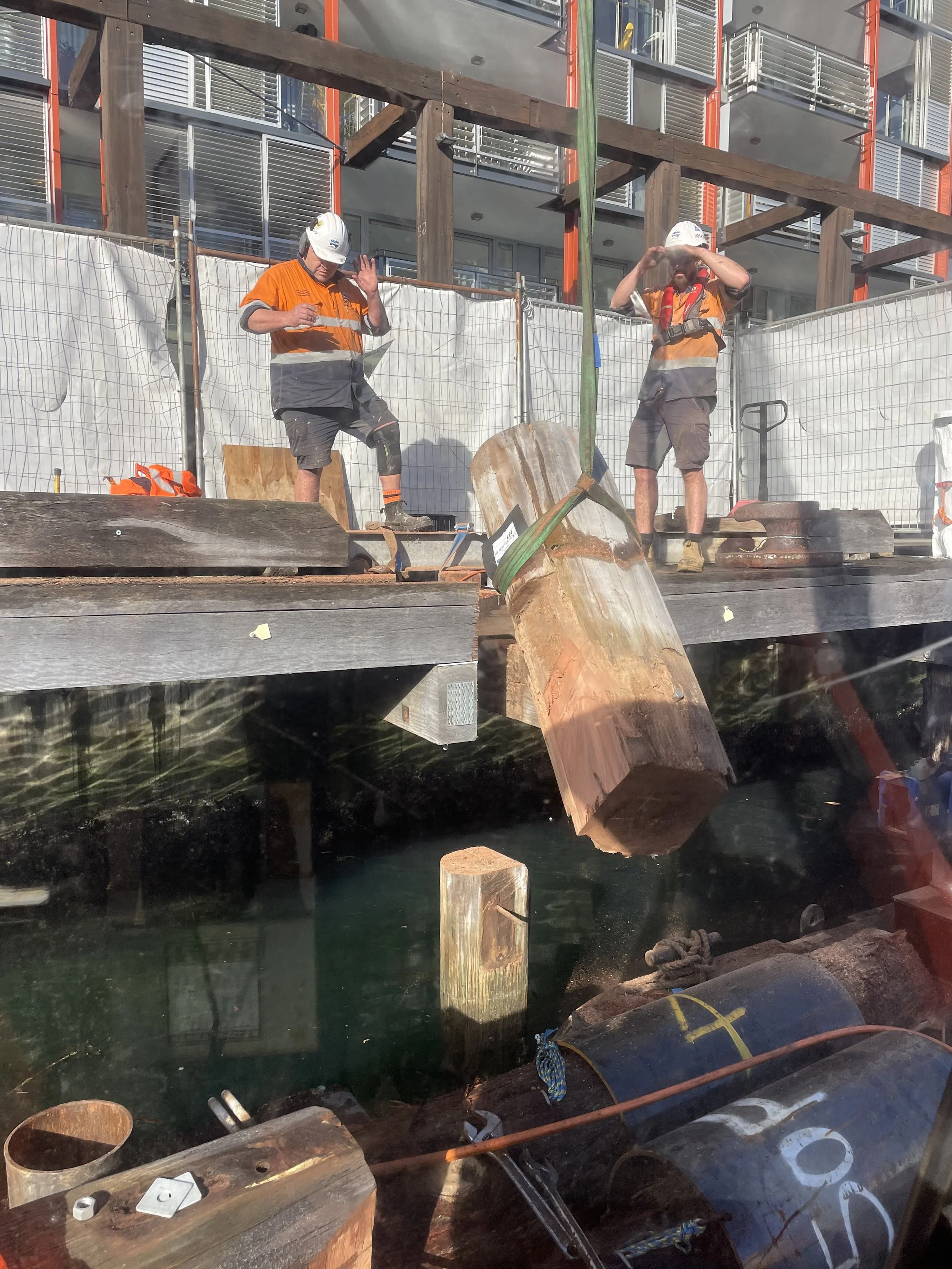 SHORE 8 P4 26-7-24 (2).jpeg