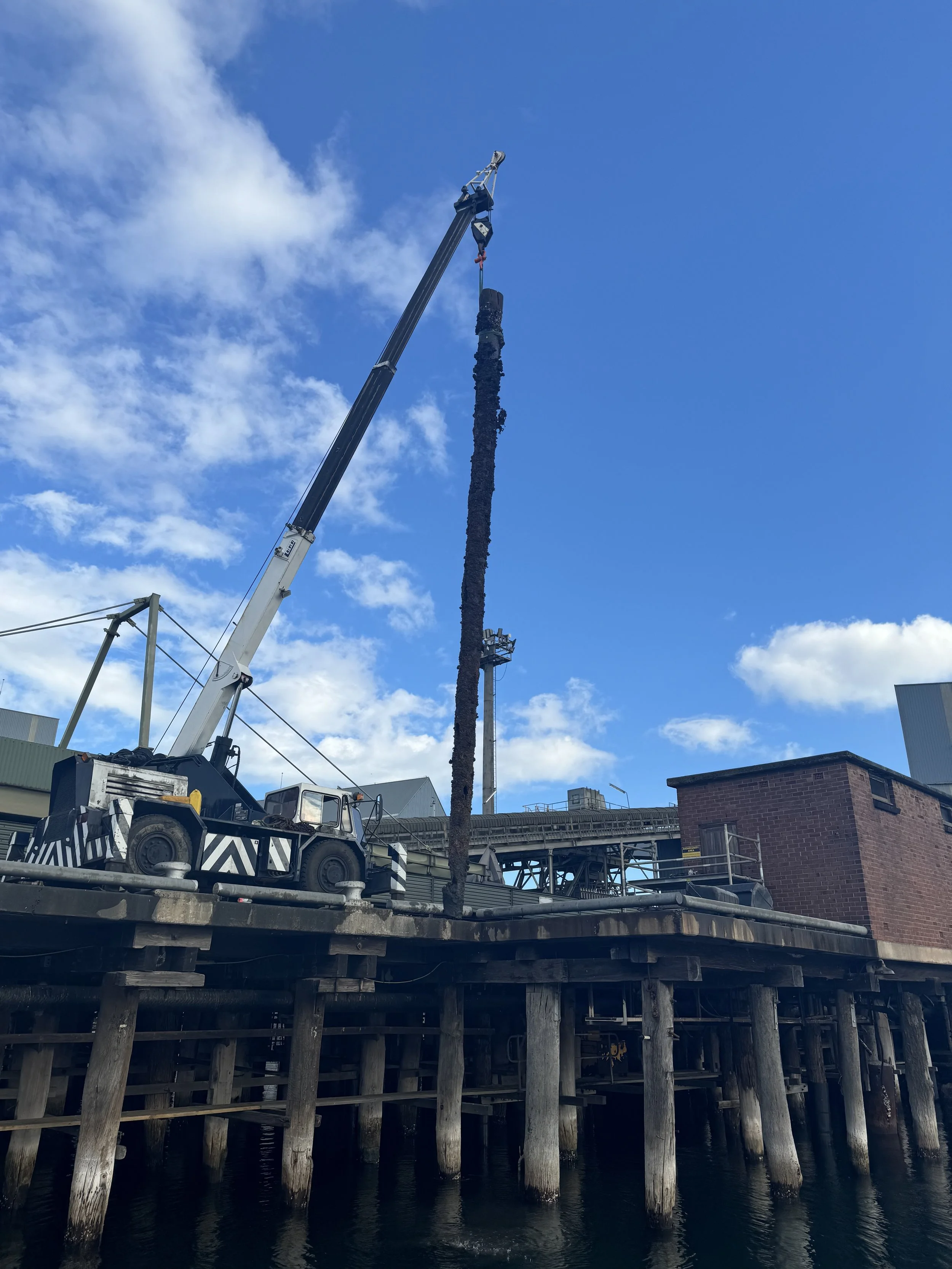 13A BERTH 206 PILE RECOVERED (2).jpeg