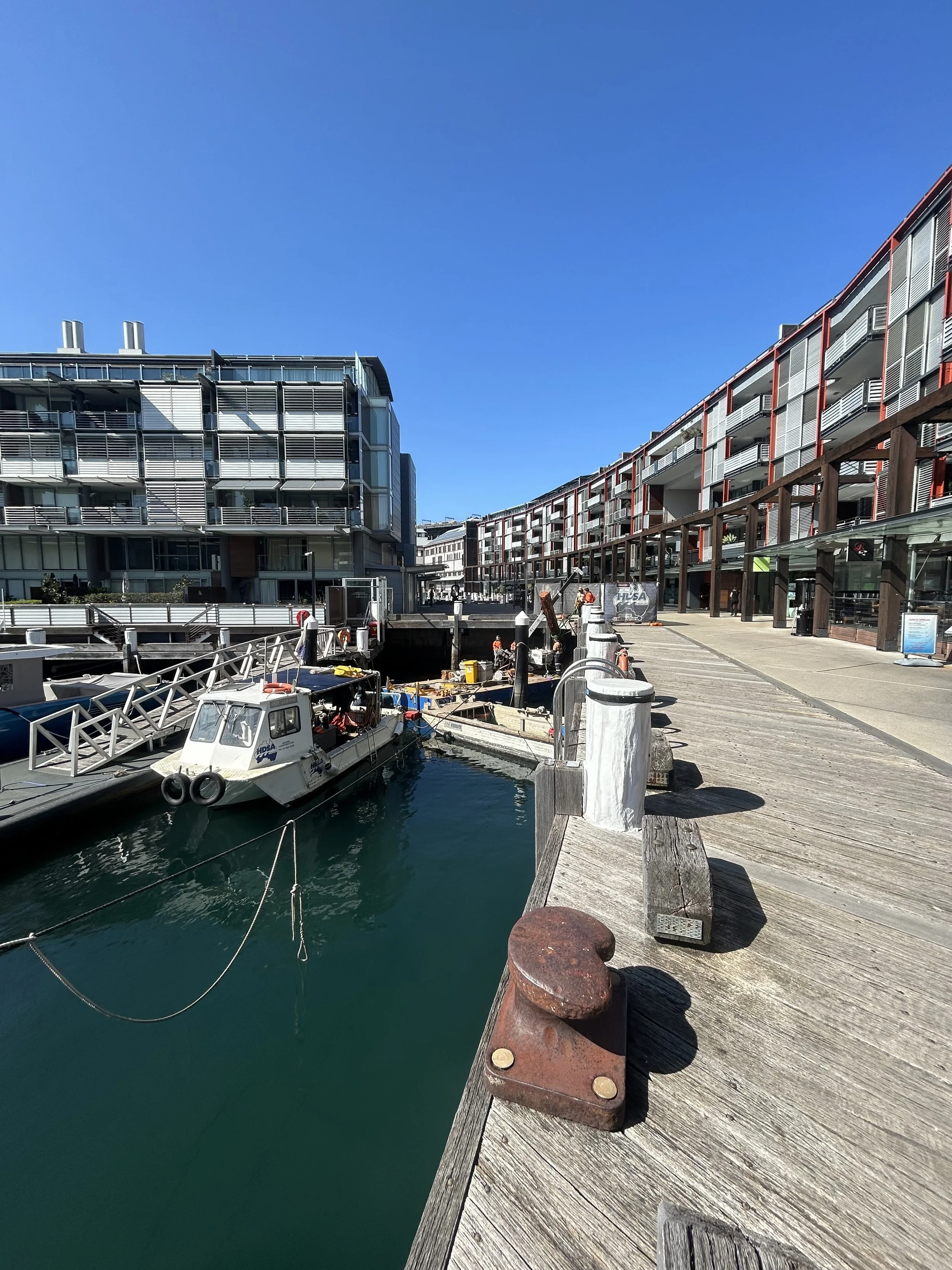 SHORE 7 PILE INSTALL - 4.9.2024 (GR SITE PHOTO).jpg