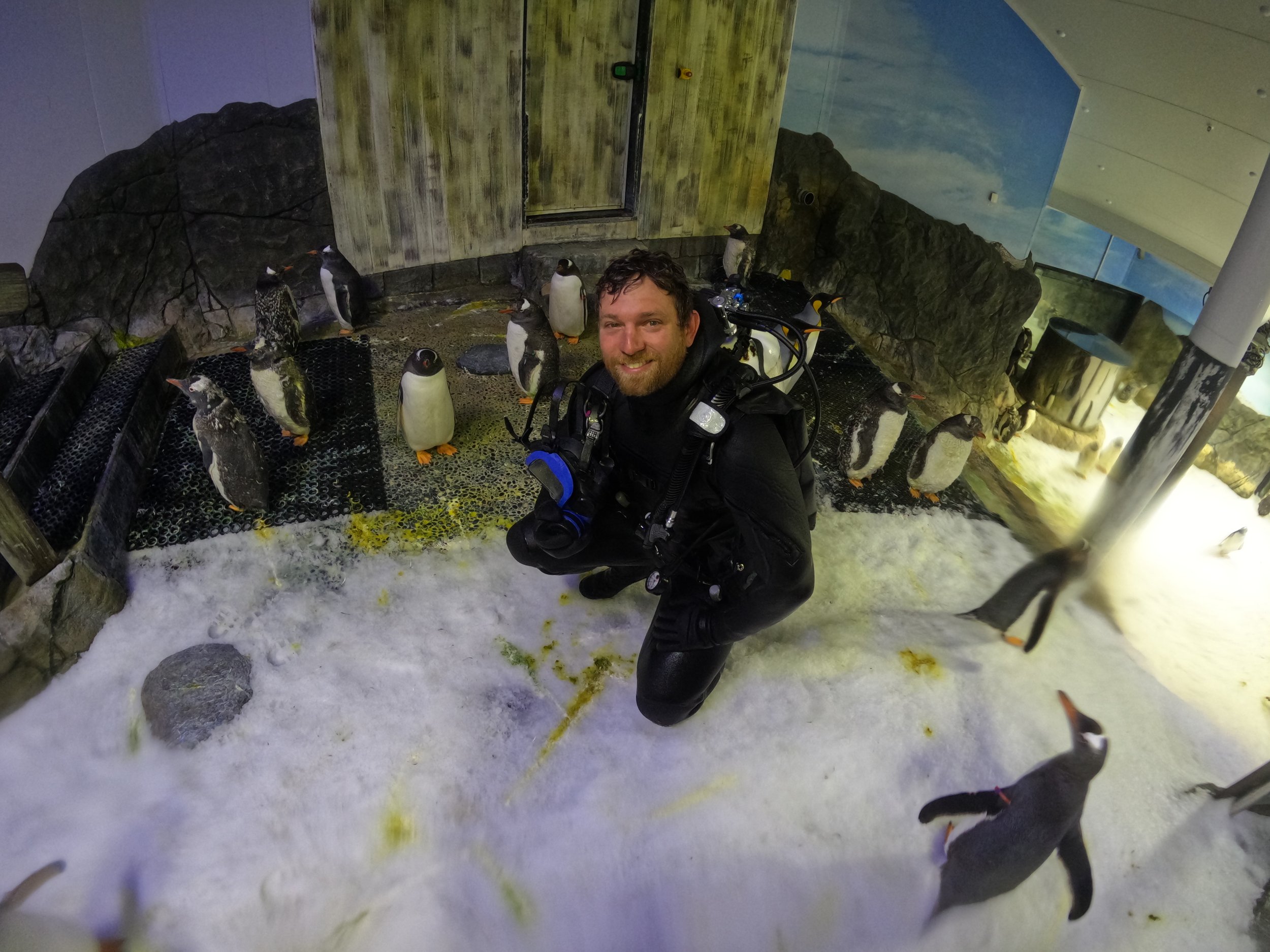 TIM & PENGUINS!!!.JPG