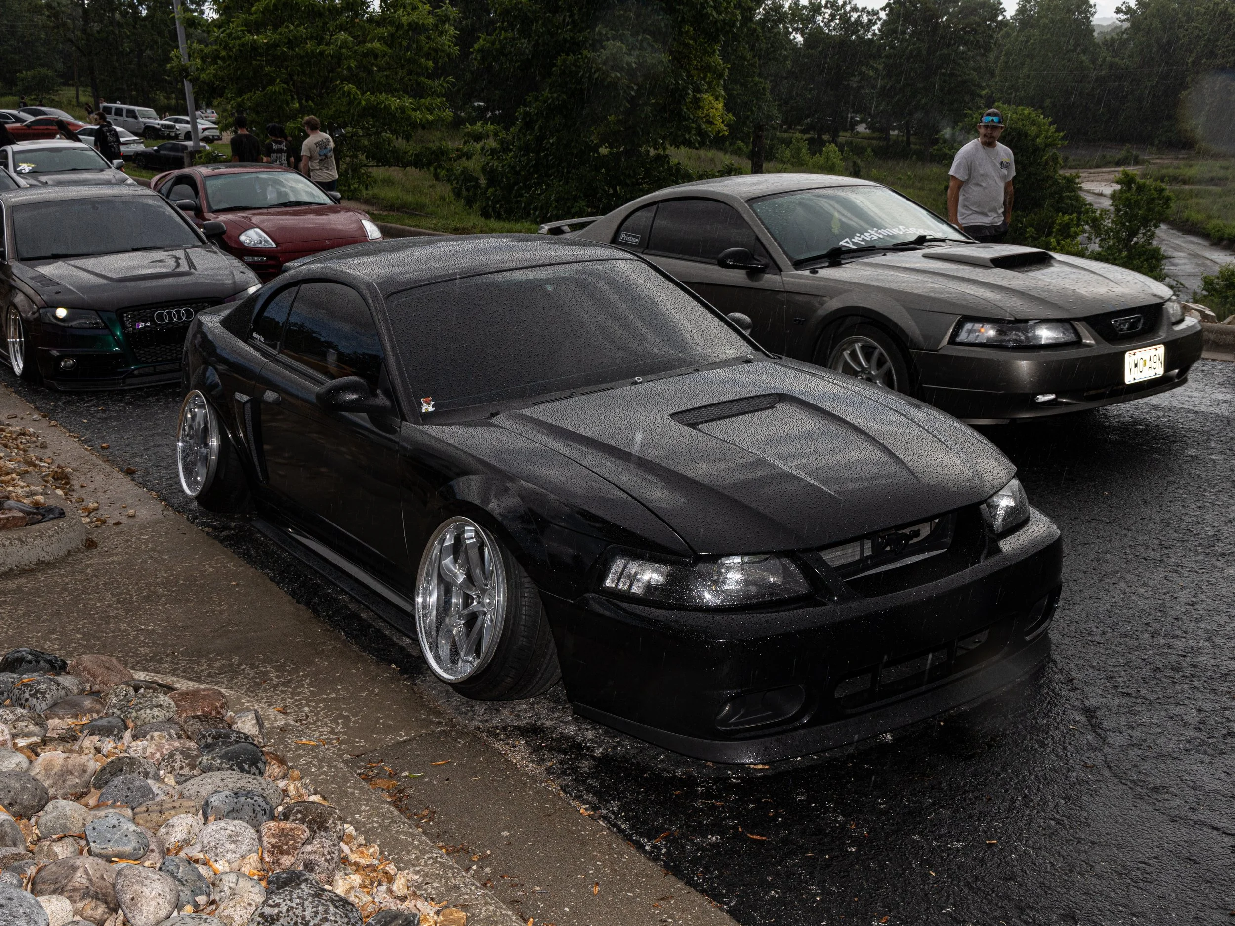 IMG_9266.jpeg