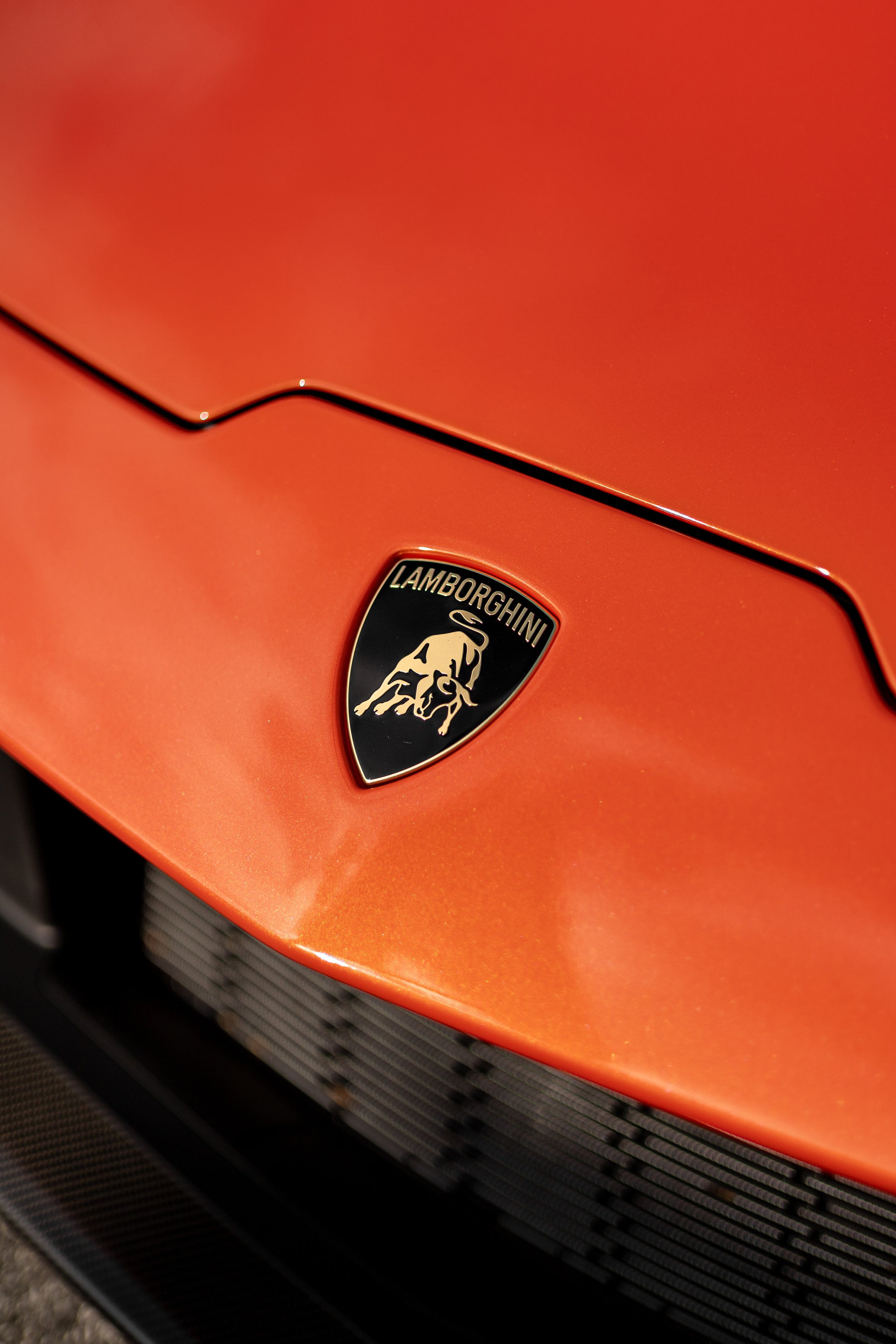 Close-up of a Lamborghini logo on the front of an orange car.