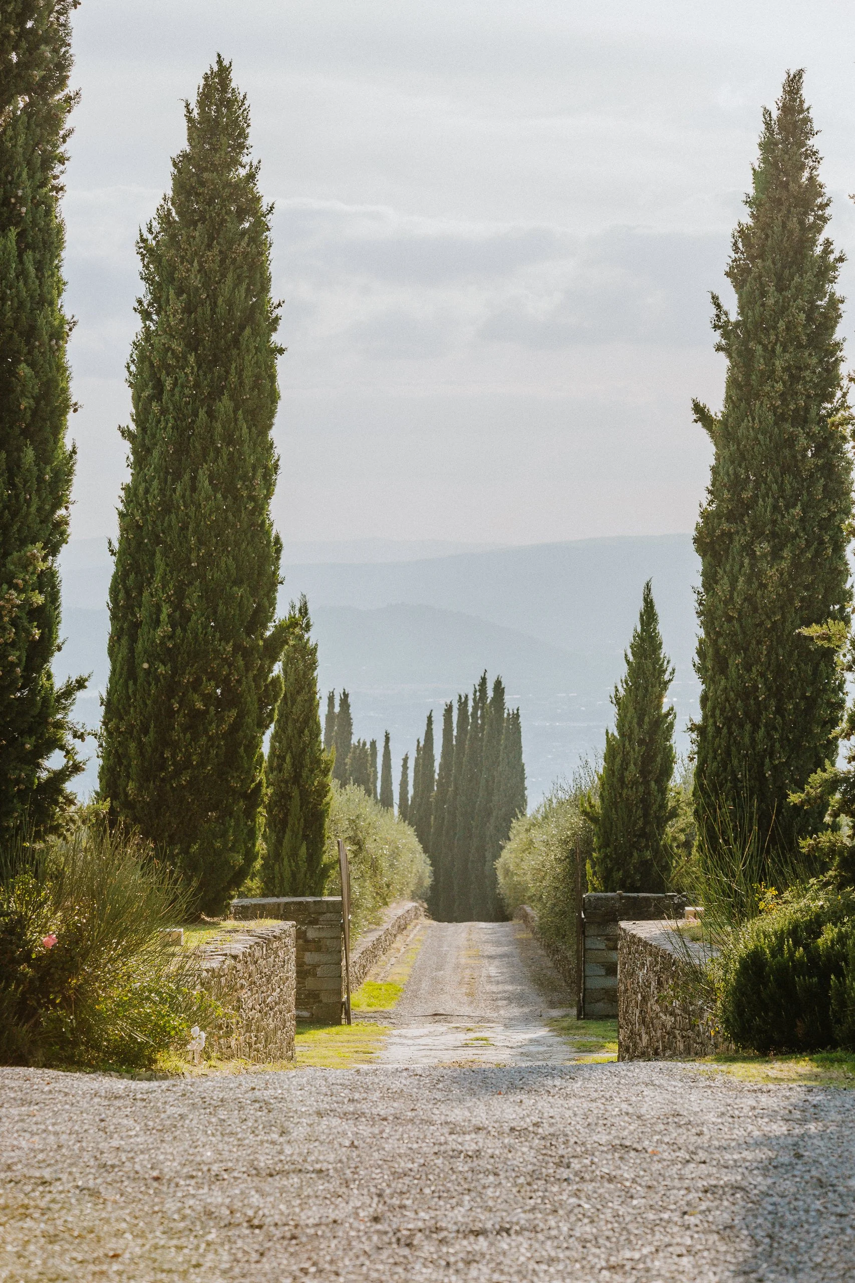 Olos e Logos 289.jpg