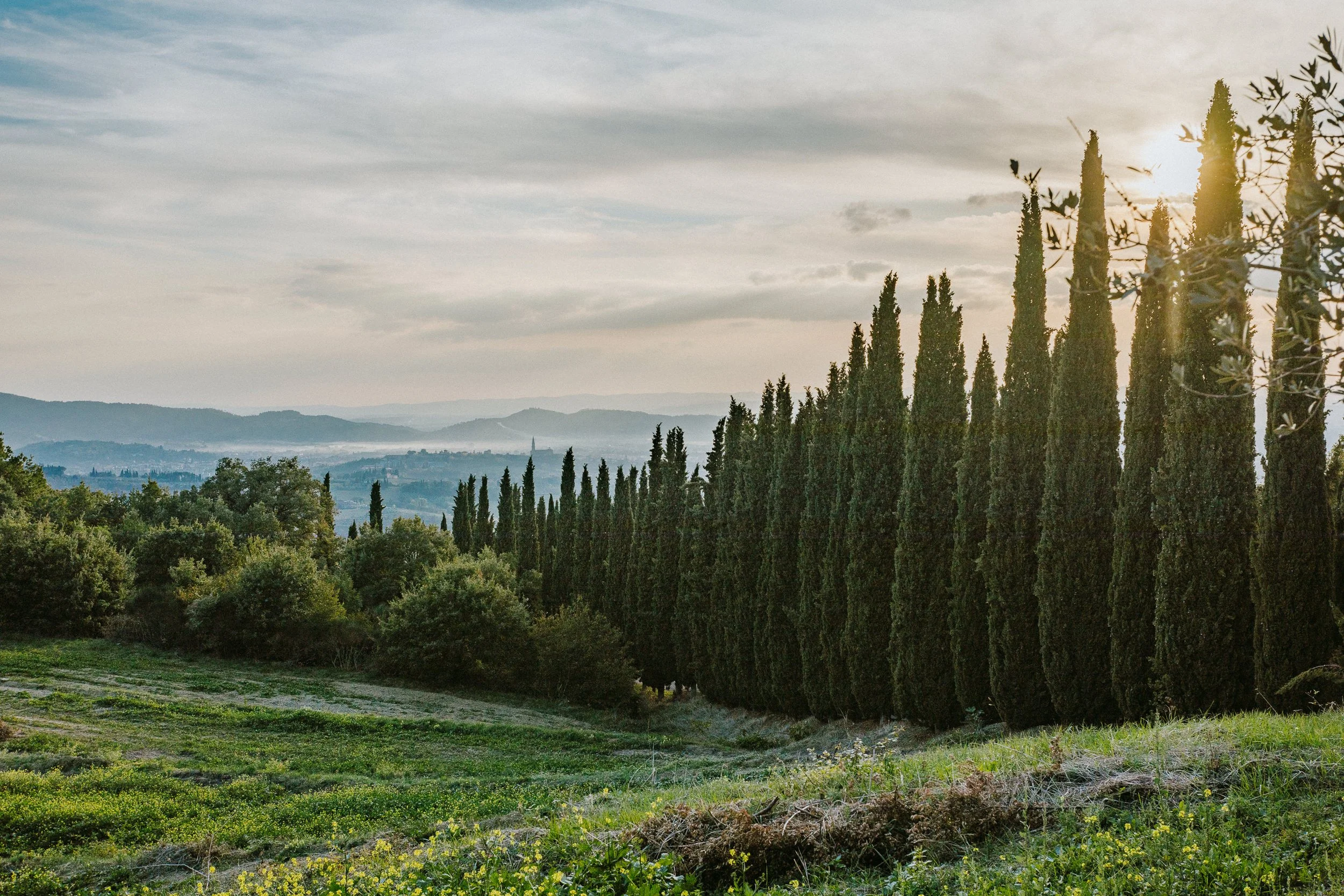 Olos e Logos 306.jpg