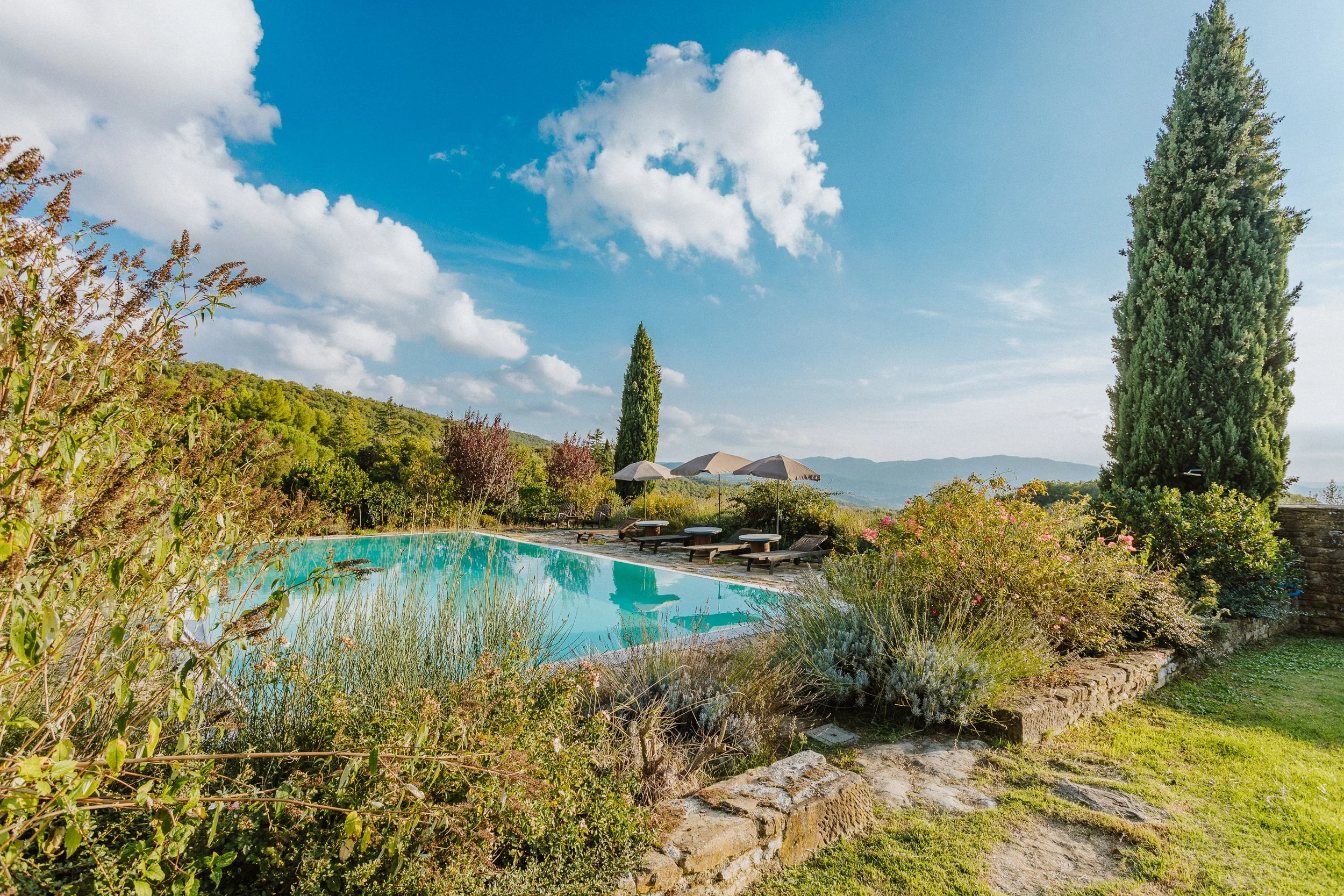 Olos e Logos 294.jpg