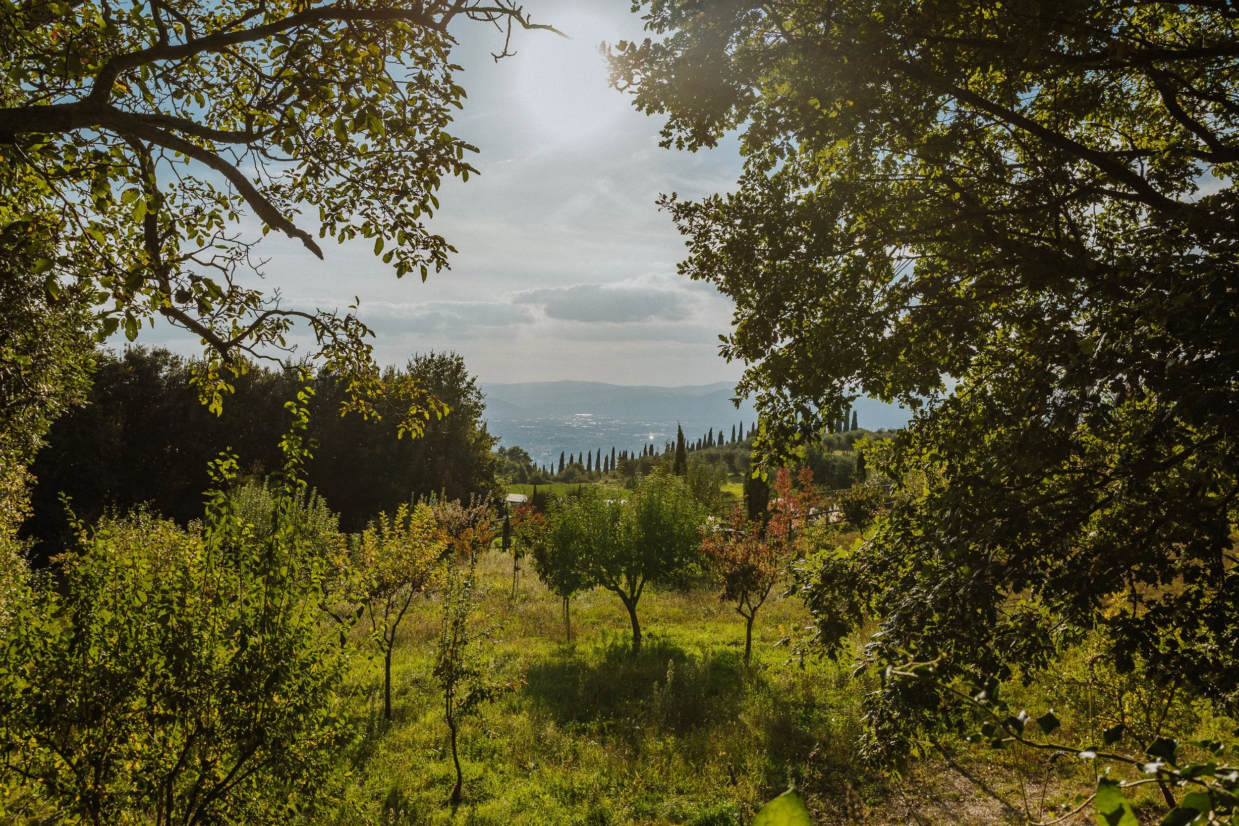 Olos e Logos 282.jpg