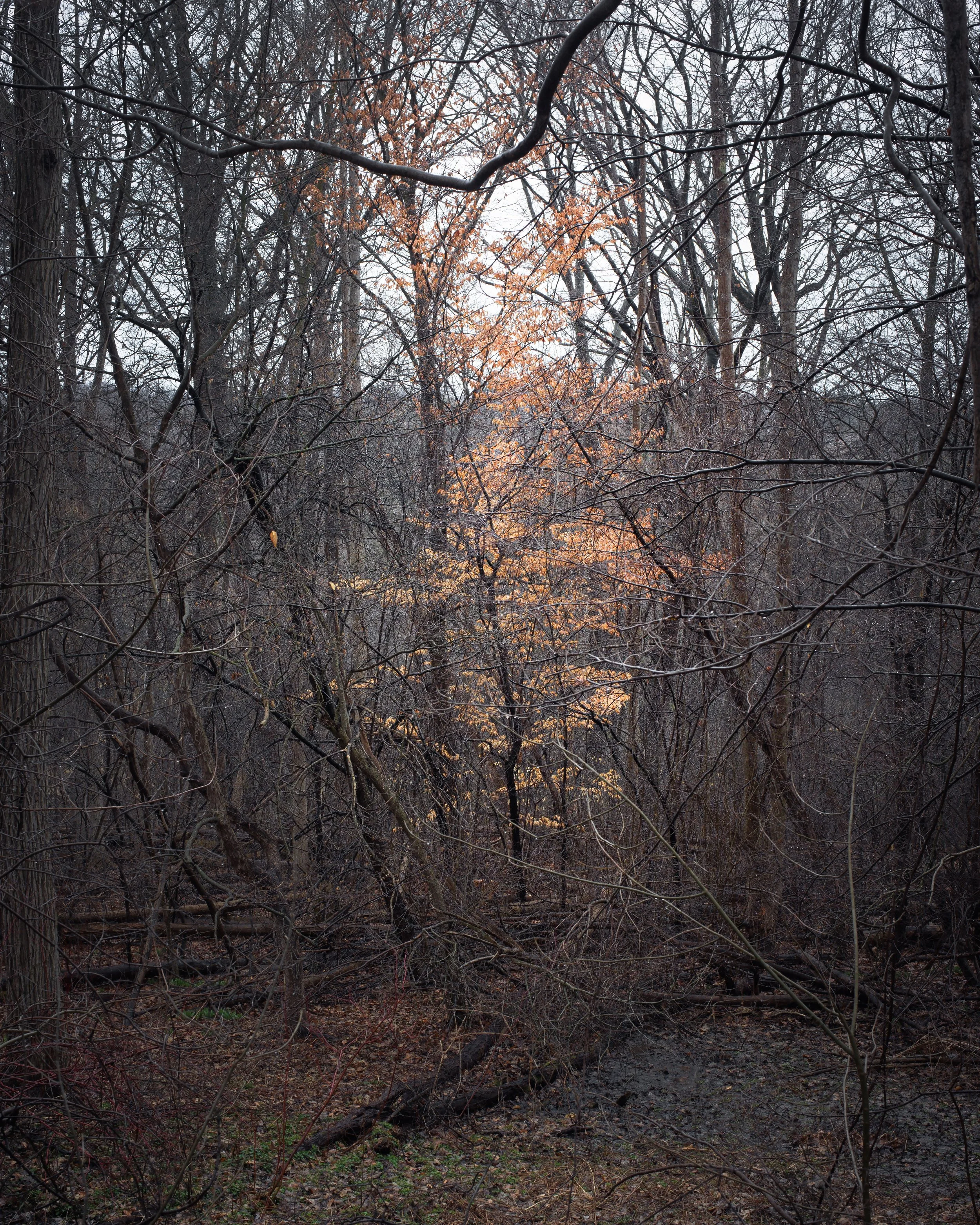IMG_9146-Edit.jpeg