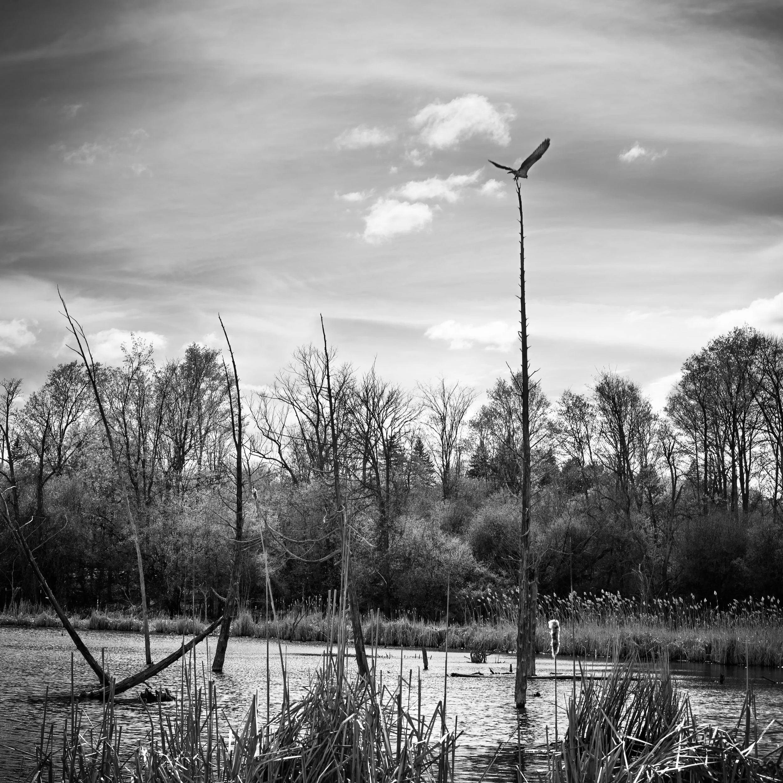 IMG_0029-Edit-facebook-2.jpg