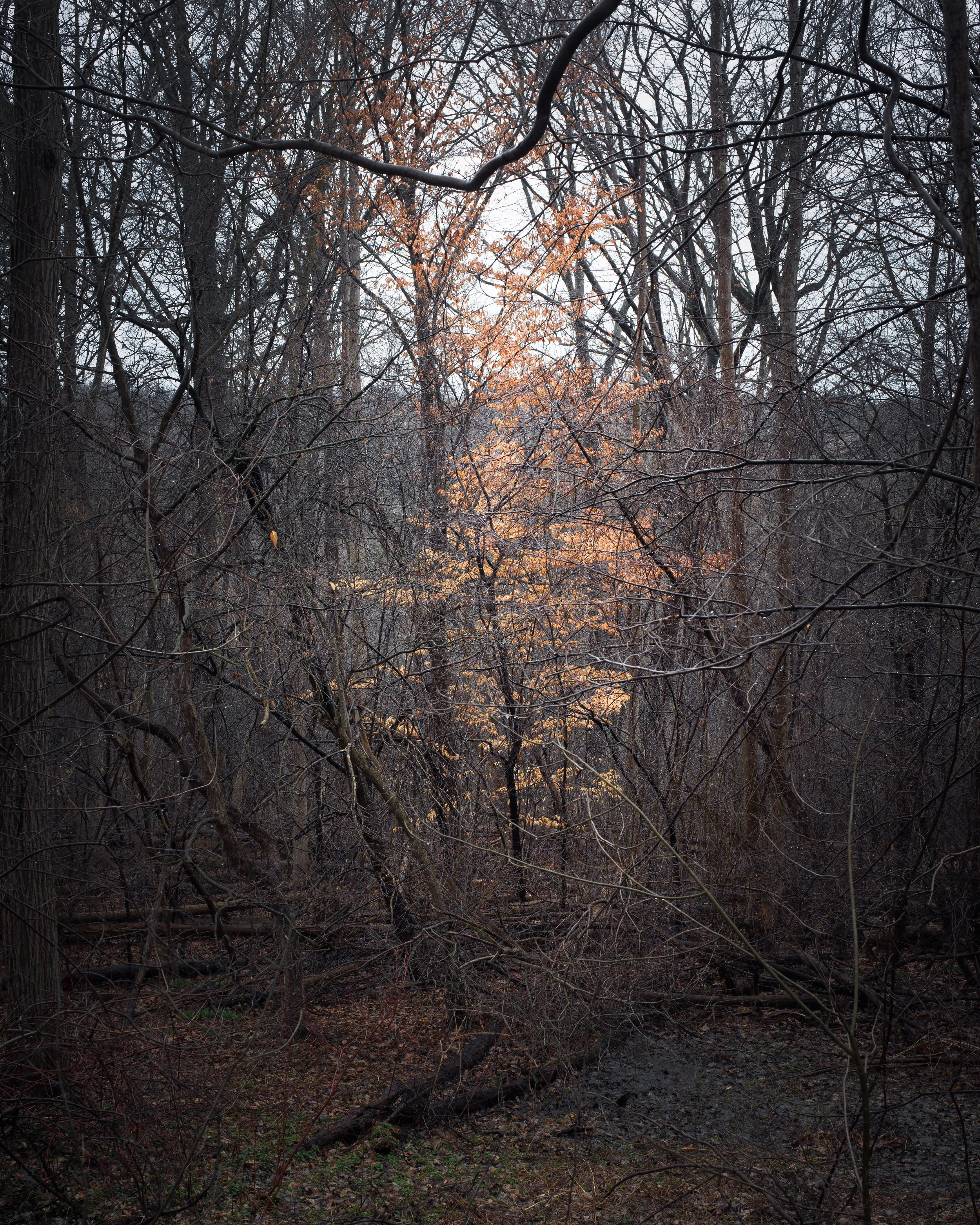IMG_9146-Edit.jpg