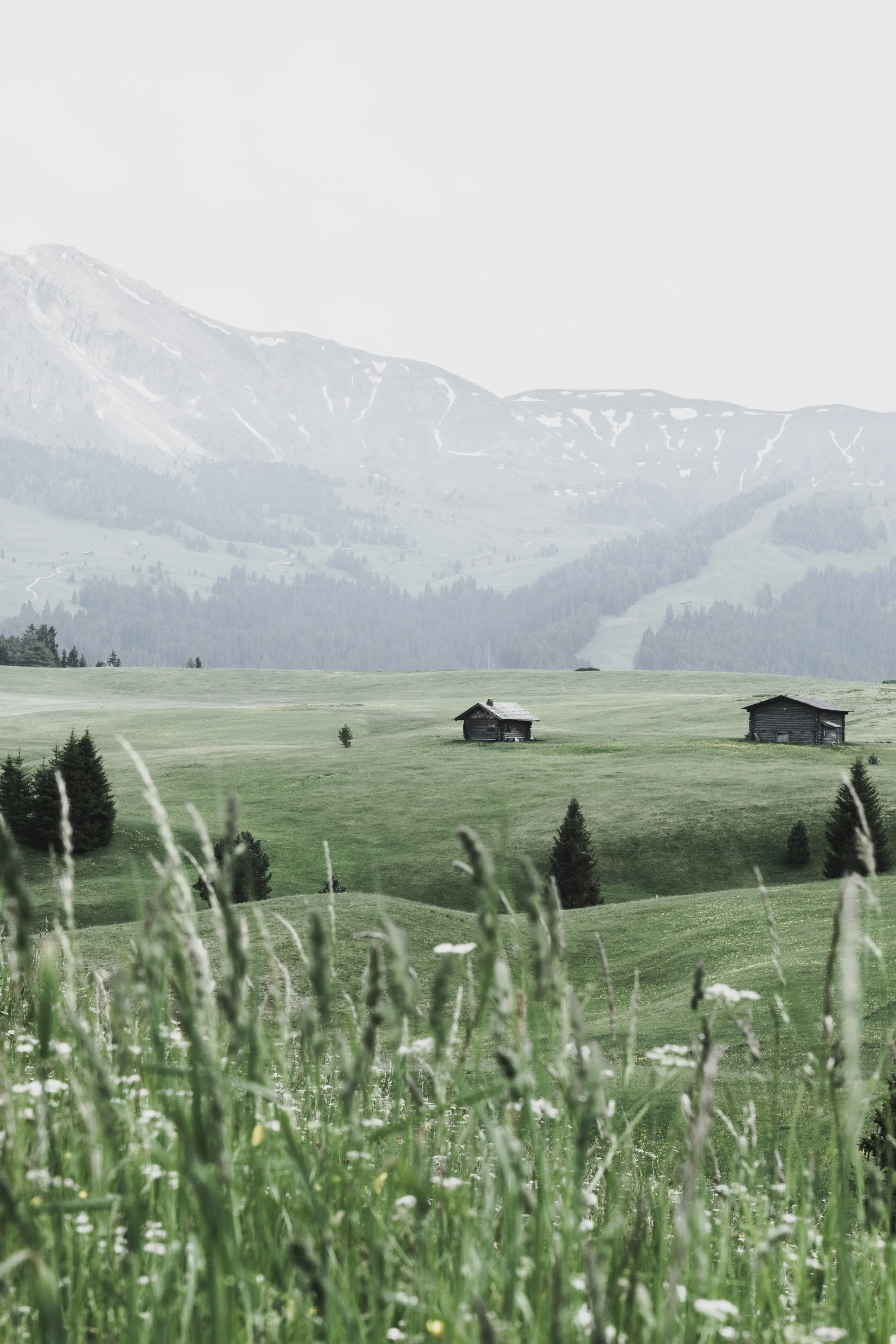 Grüne Wiese mit kleinen Holzhütten, umgeben von Bäumen und Bergen im Hintergrund, bewölkter Himmel.