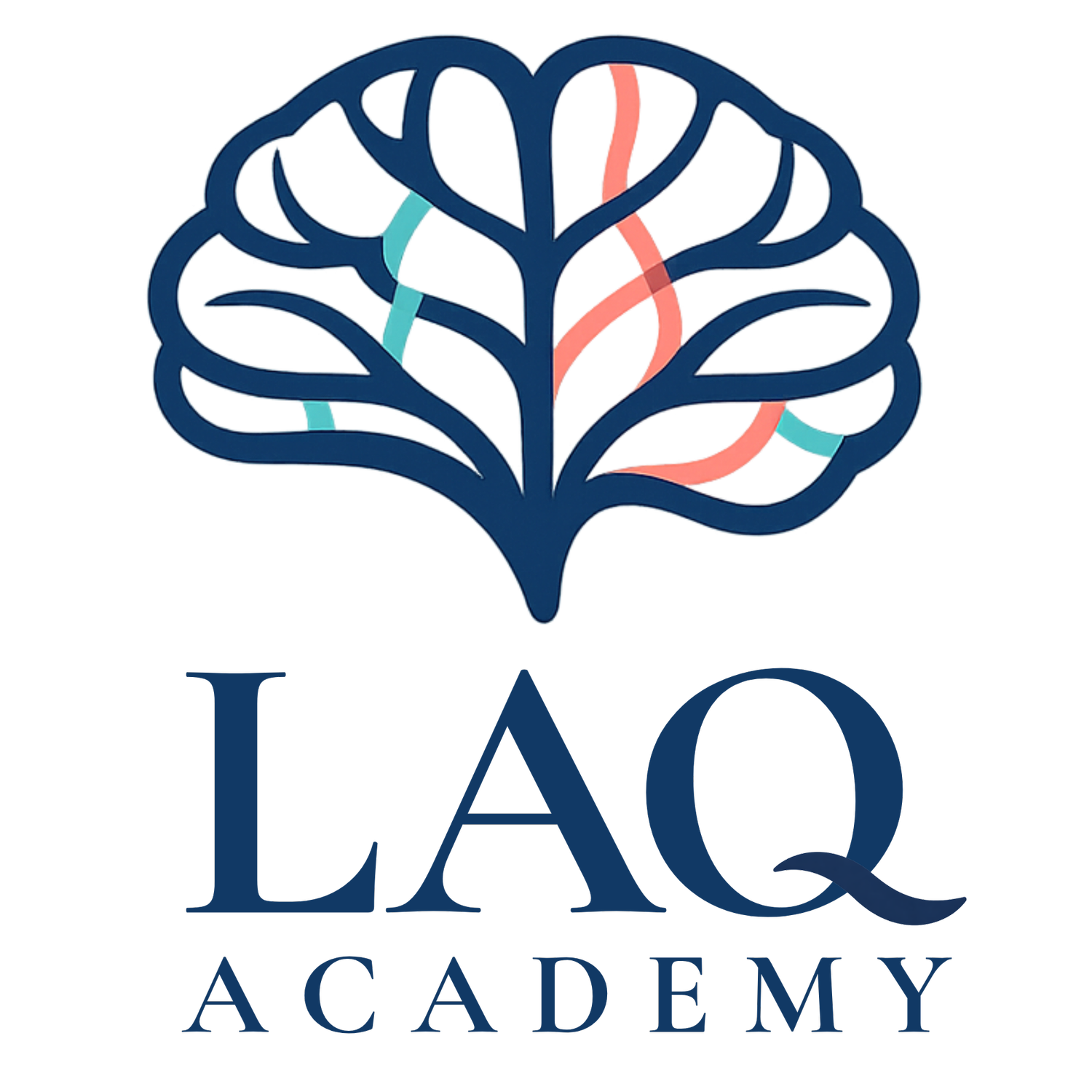 LAQ ACADEMY