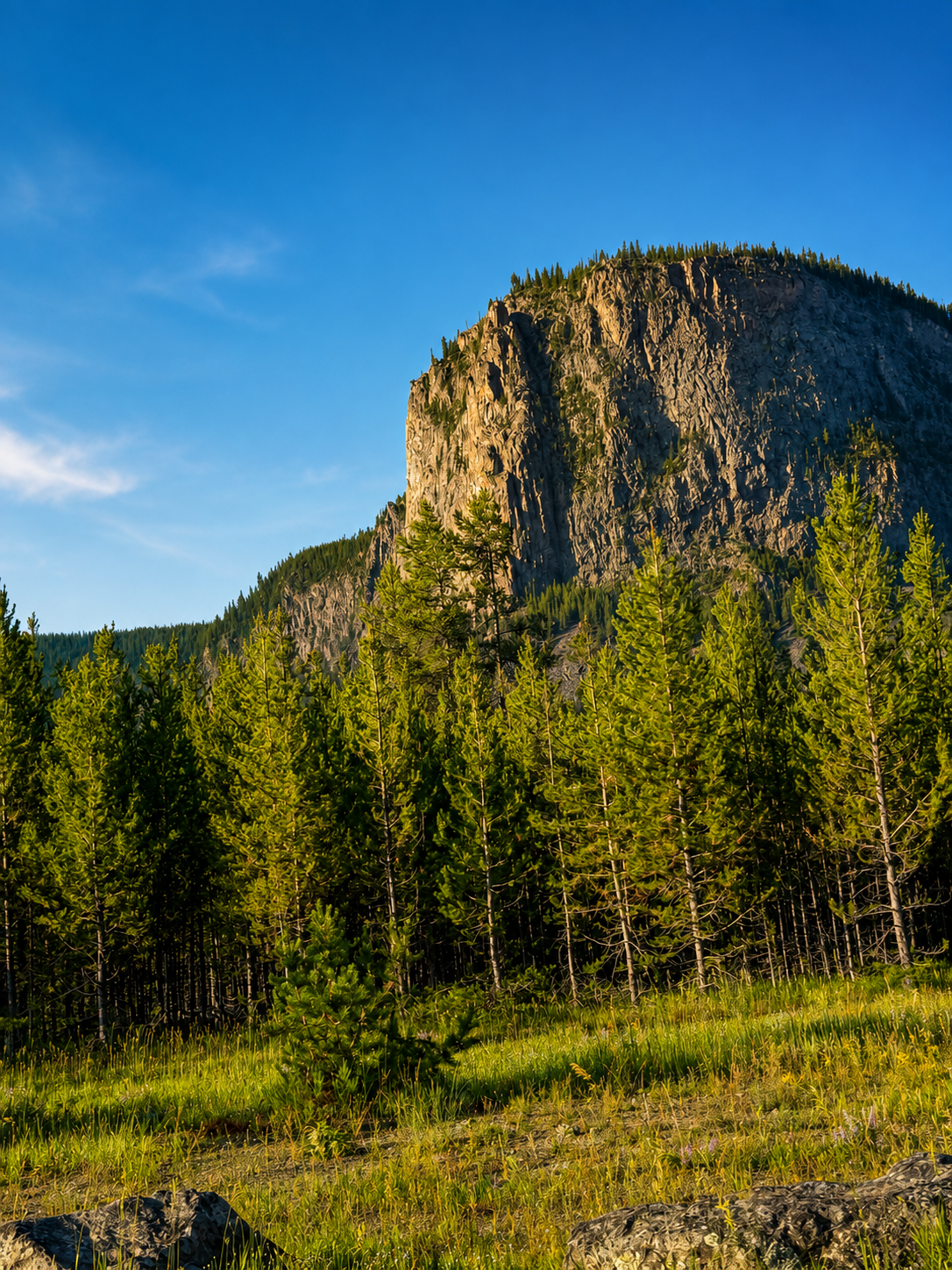 1E7B3E87-239D-4928-84FA-A25619491F53.PNG