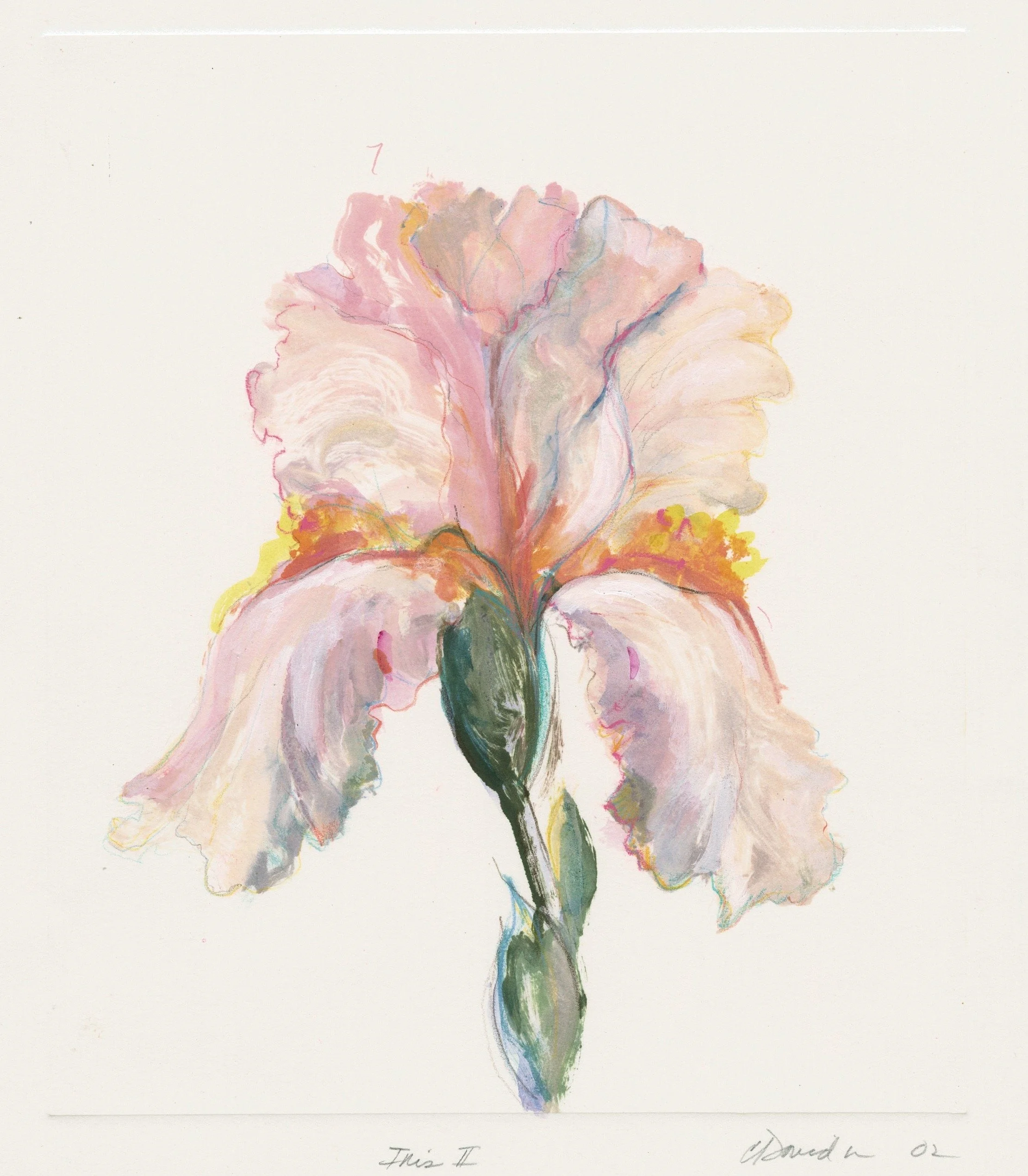 Iris II